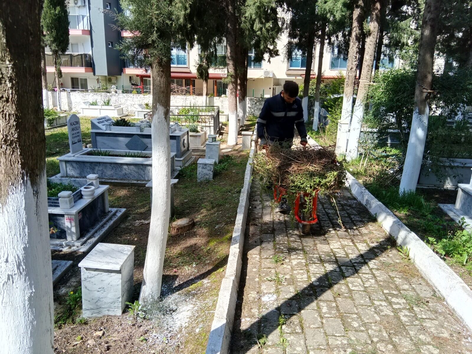 Whatsapp Image 2026 03 18 At 18.50.49 (1)