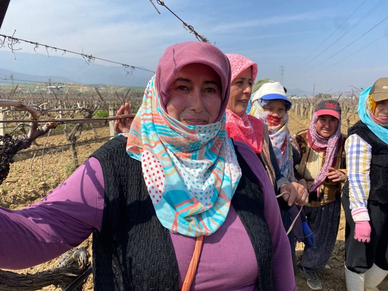 Yağışa Teslim Olan Bağlar Ayağa Kalktı (3)