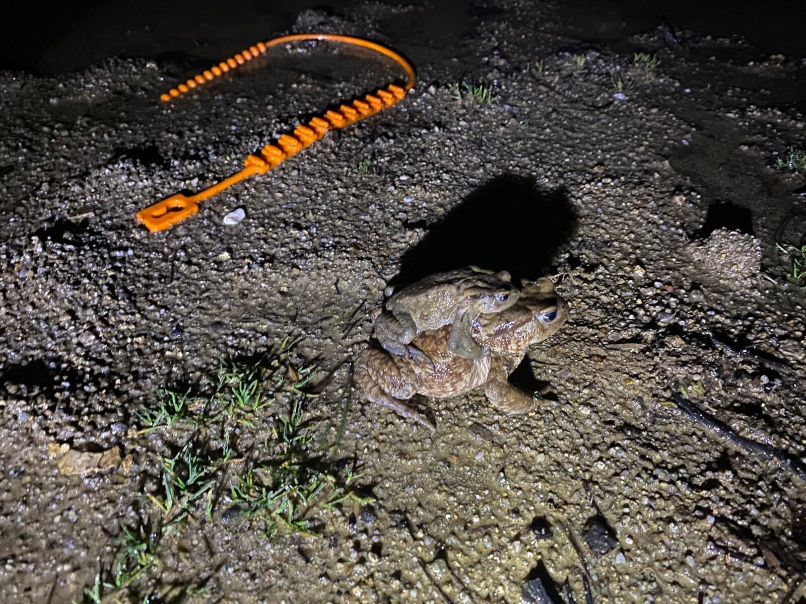 5 Bin Yıllık Göç Yeniden Başladı (6)