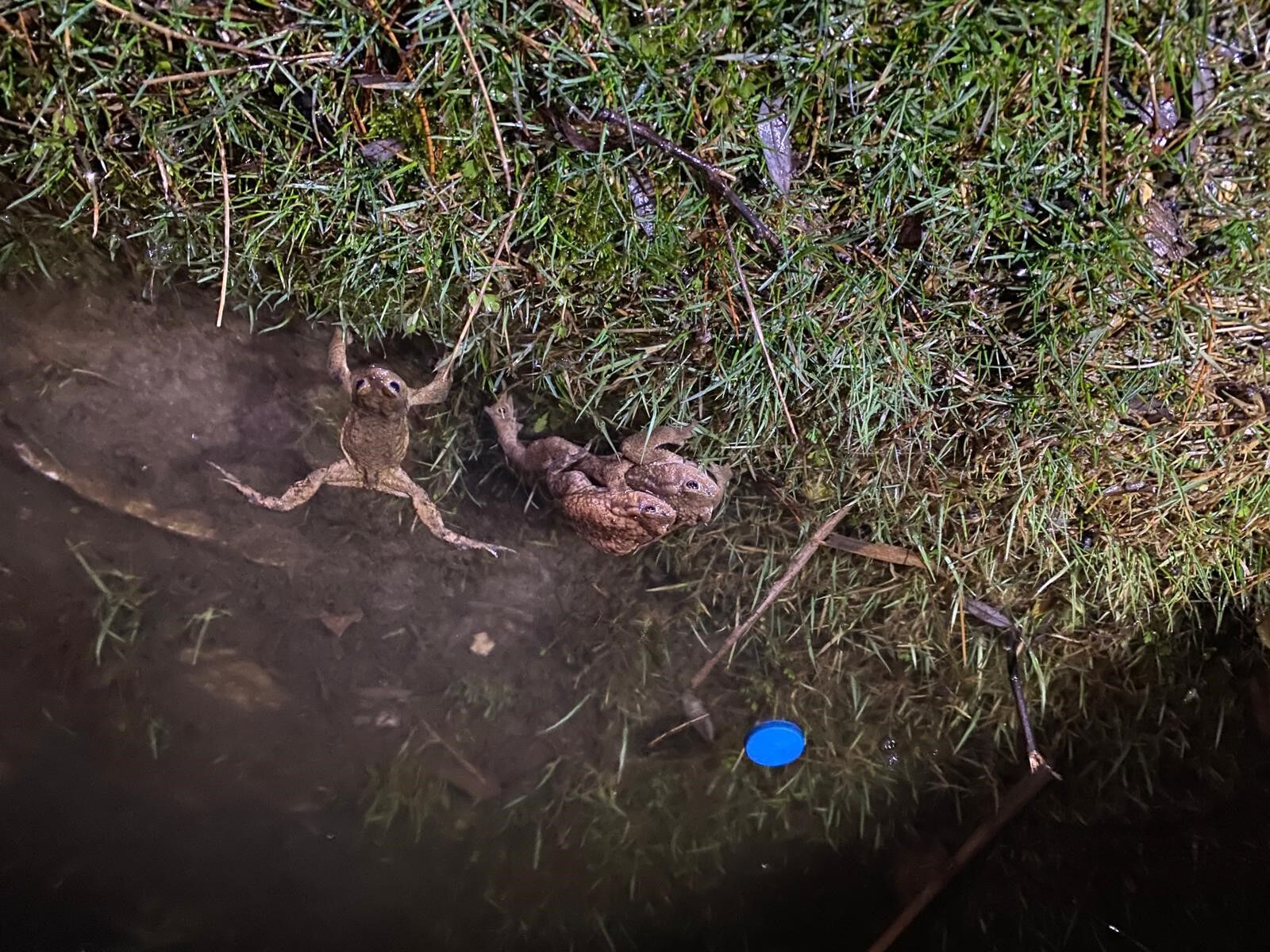 5 Bin Yıllık Göç Yeniden Başladı (7)