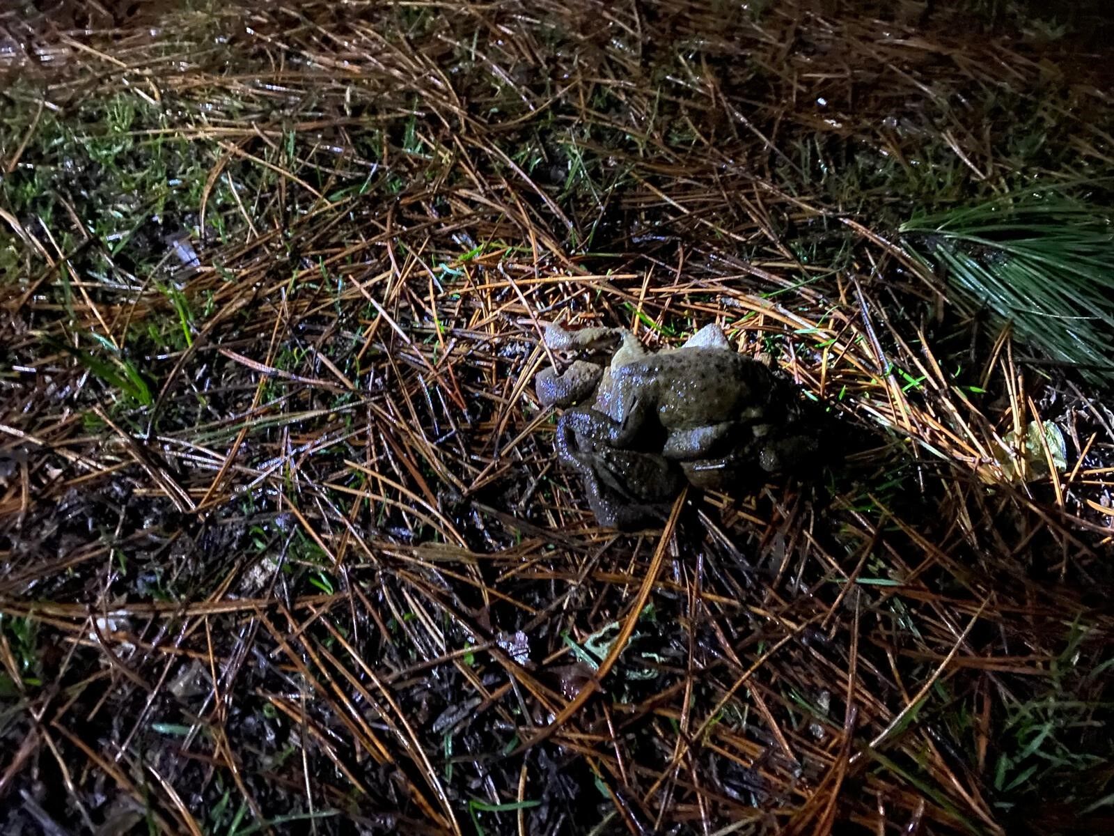 5 Bin Yıllık Göç Yeniden Başladı (9)