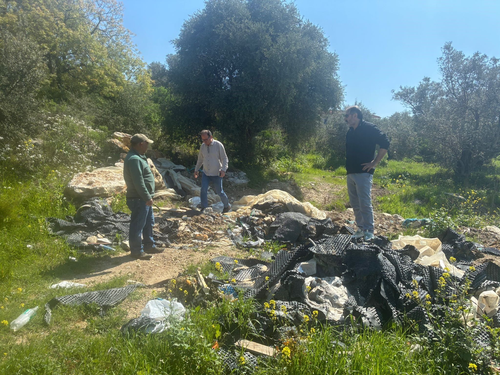 Aydın’da Endemik Tülüşah Için Inceleme (3)