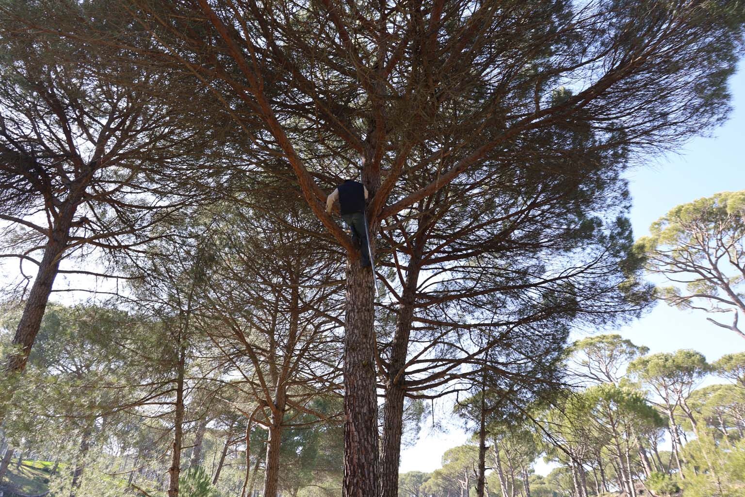 Aydın’da Günlük 3 Bin 500 Liraya Çalışıyorlar (8)