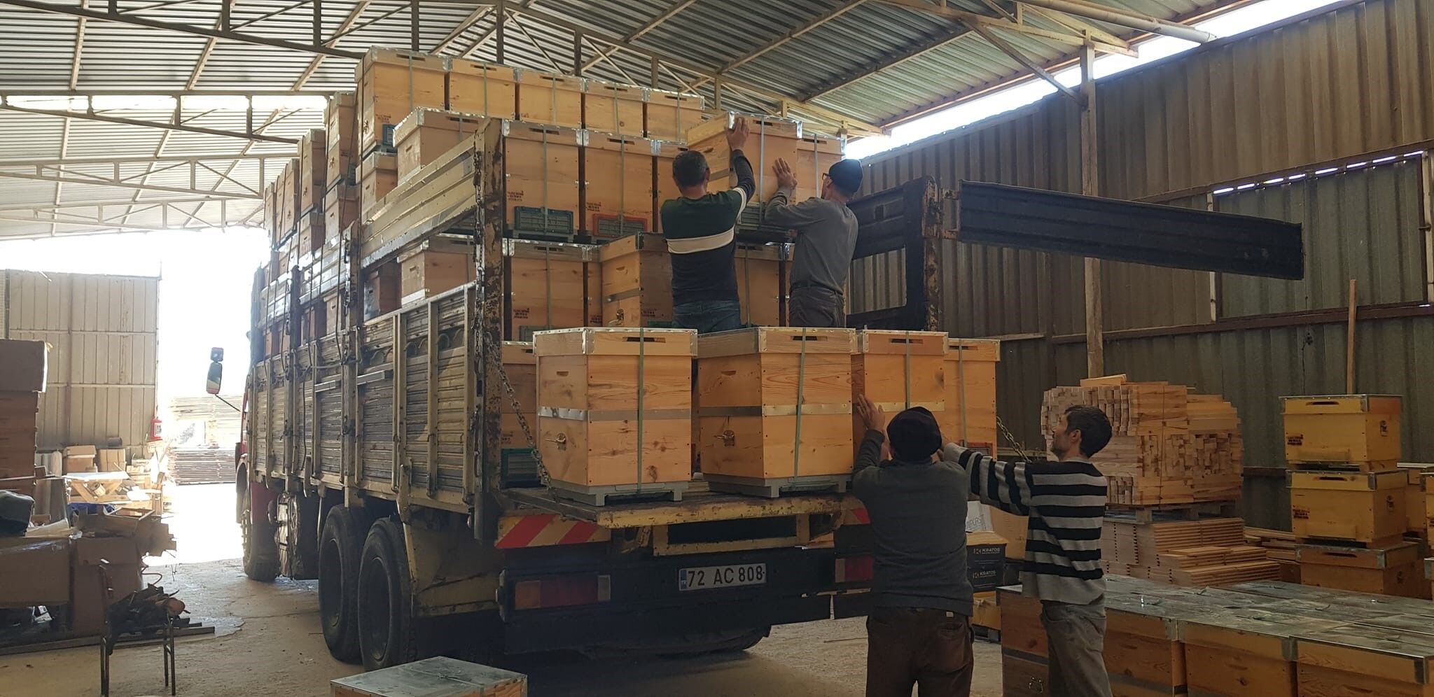 Aydın’dan Dünyaya Kovan Ihraç Ediliyor (5)