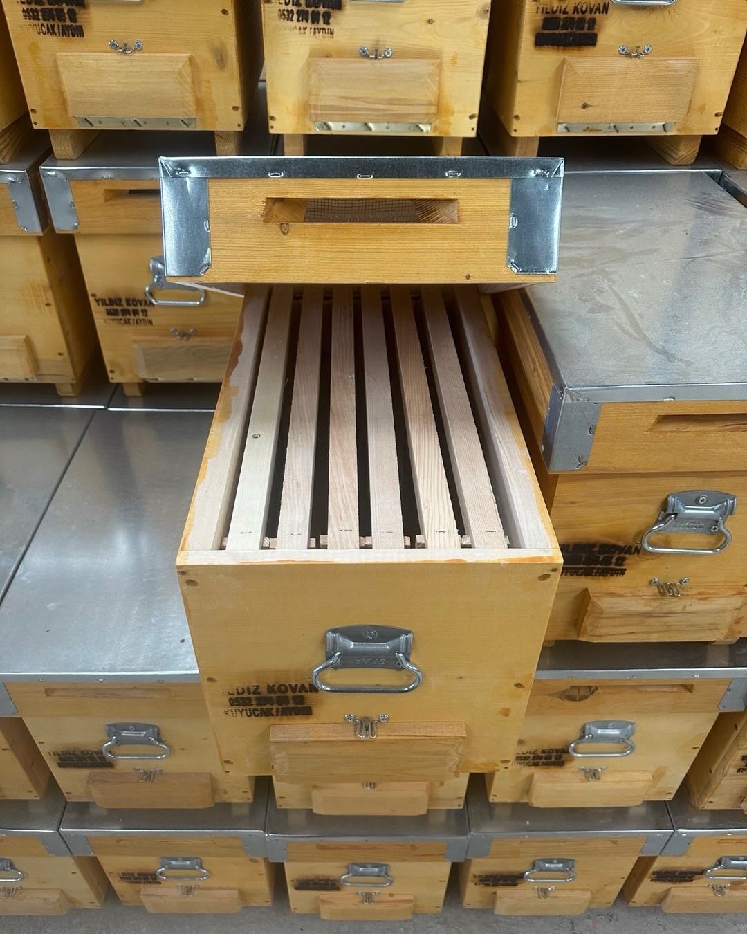 Aydın’dan Dünyaya Kovan Ihraç Ediliyor (8)