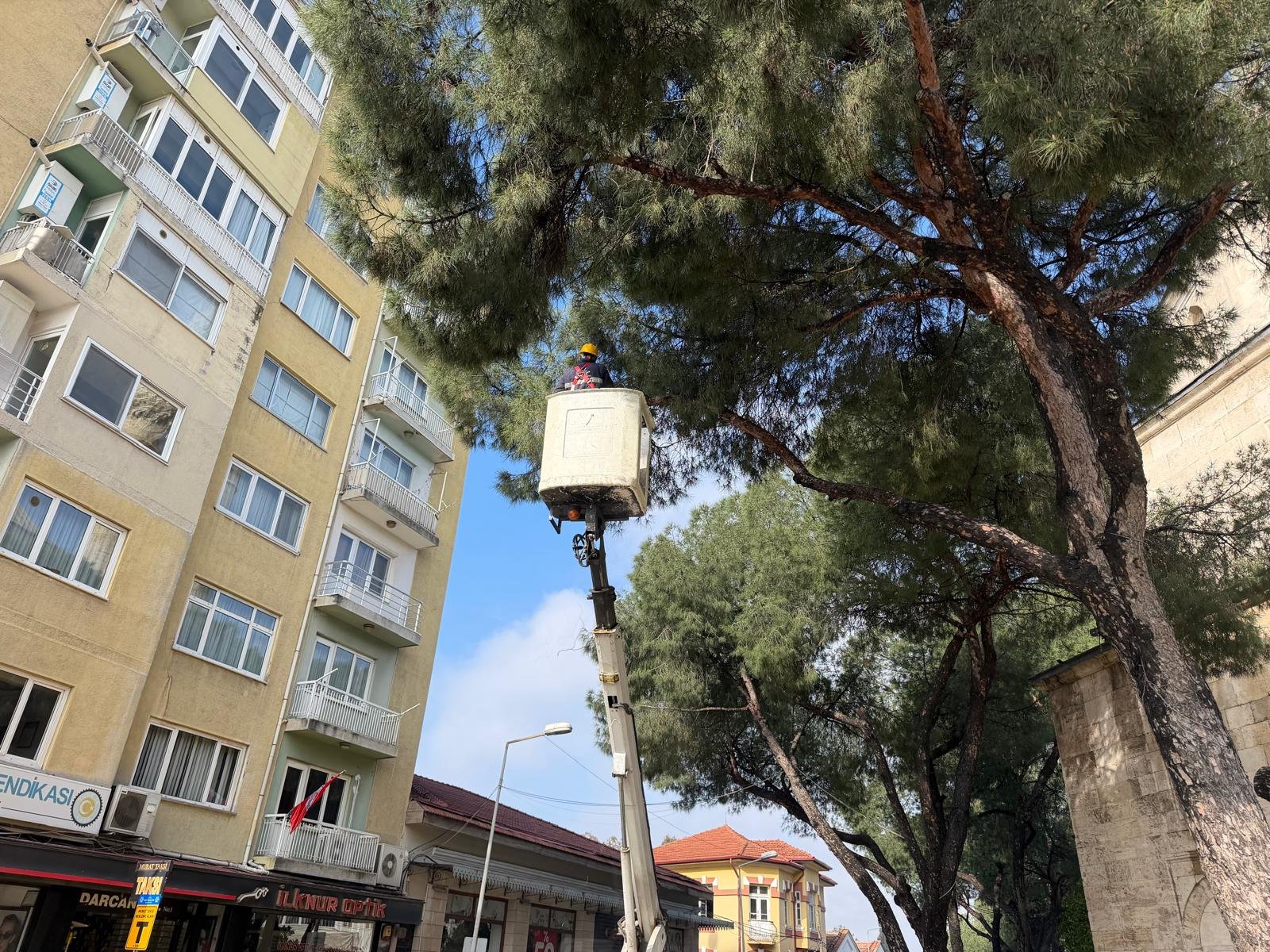 Başkan Çerçioğlu’ndan Aydın’ın Yeşil Dokusunu Geleceğe Taşıyan Çalışma (4)