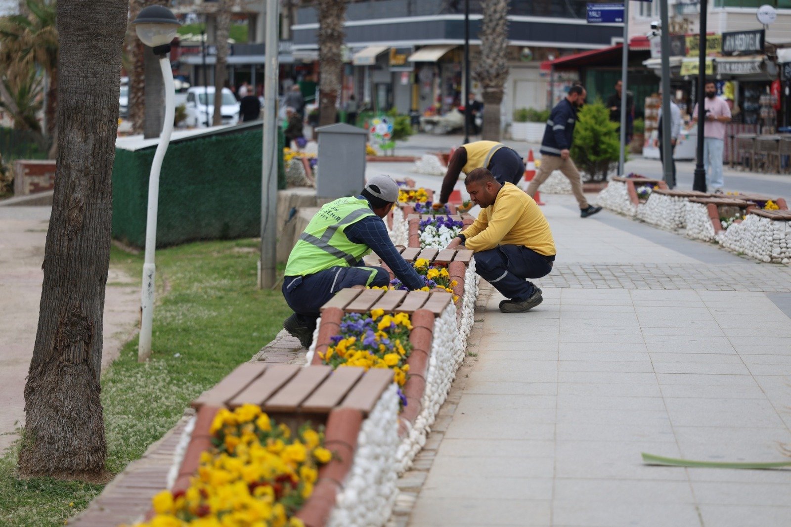Başkan Çerçioğlu’nun Öncülüğünde Didim Turizm Sezonuna Hazırlanıyor (3)