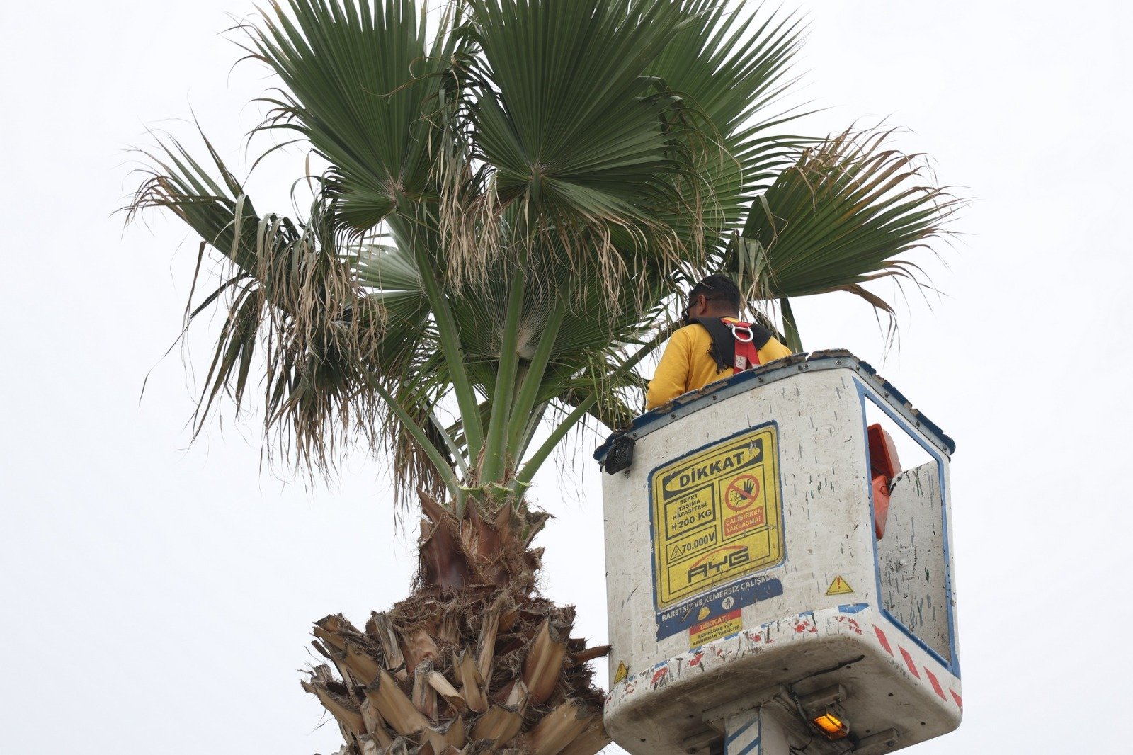Başkan Çerçioğlu’nun Öncülüğünde Didim Turizm Sezonuna Hazırlanıyor (6)
