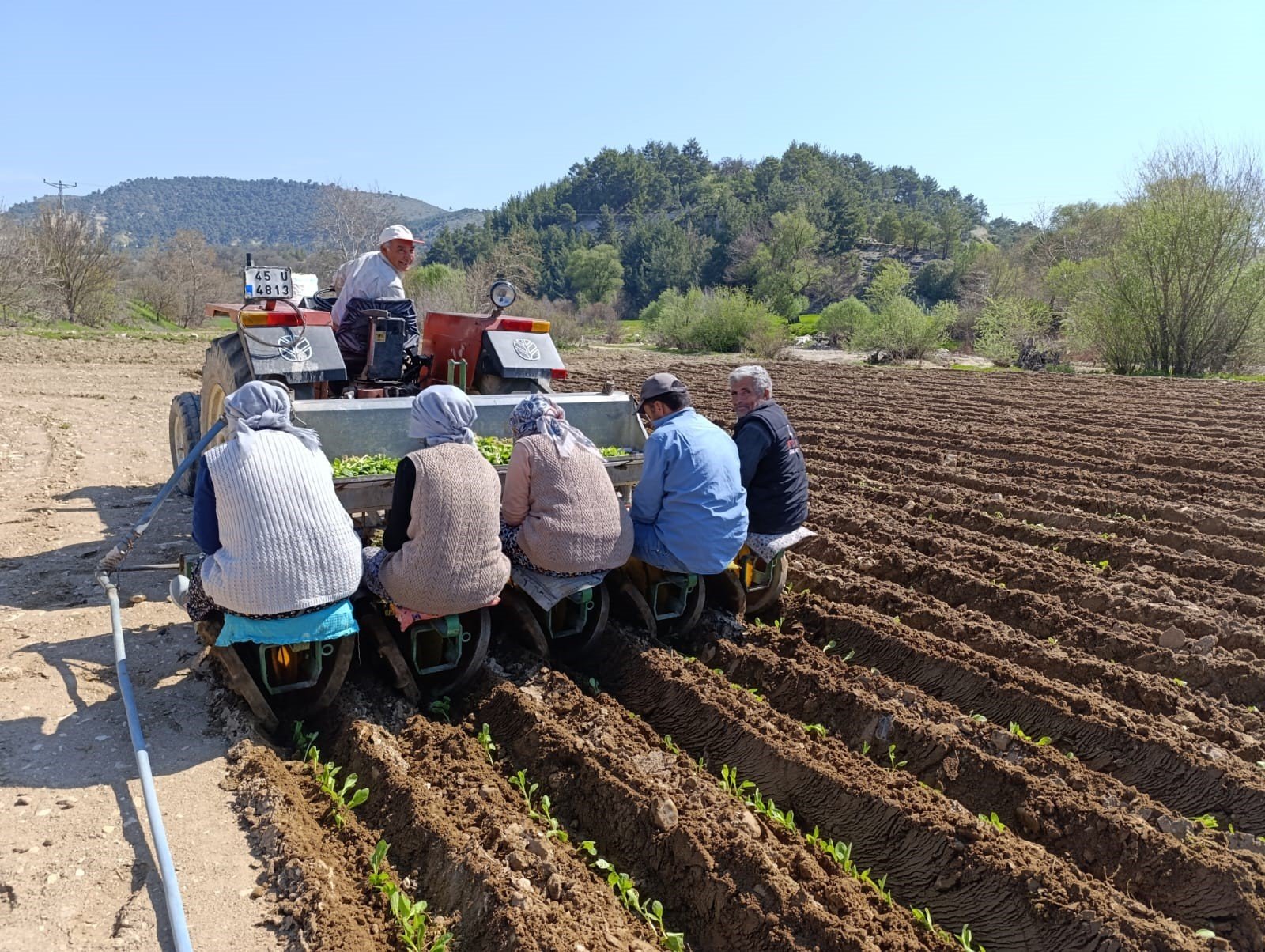 Çiftçinin Tütün Mesaisi Başladı (2)