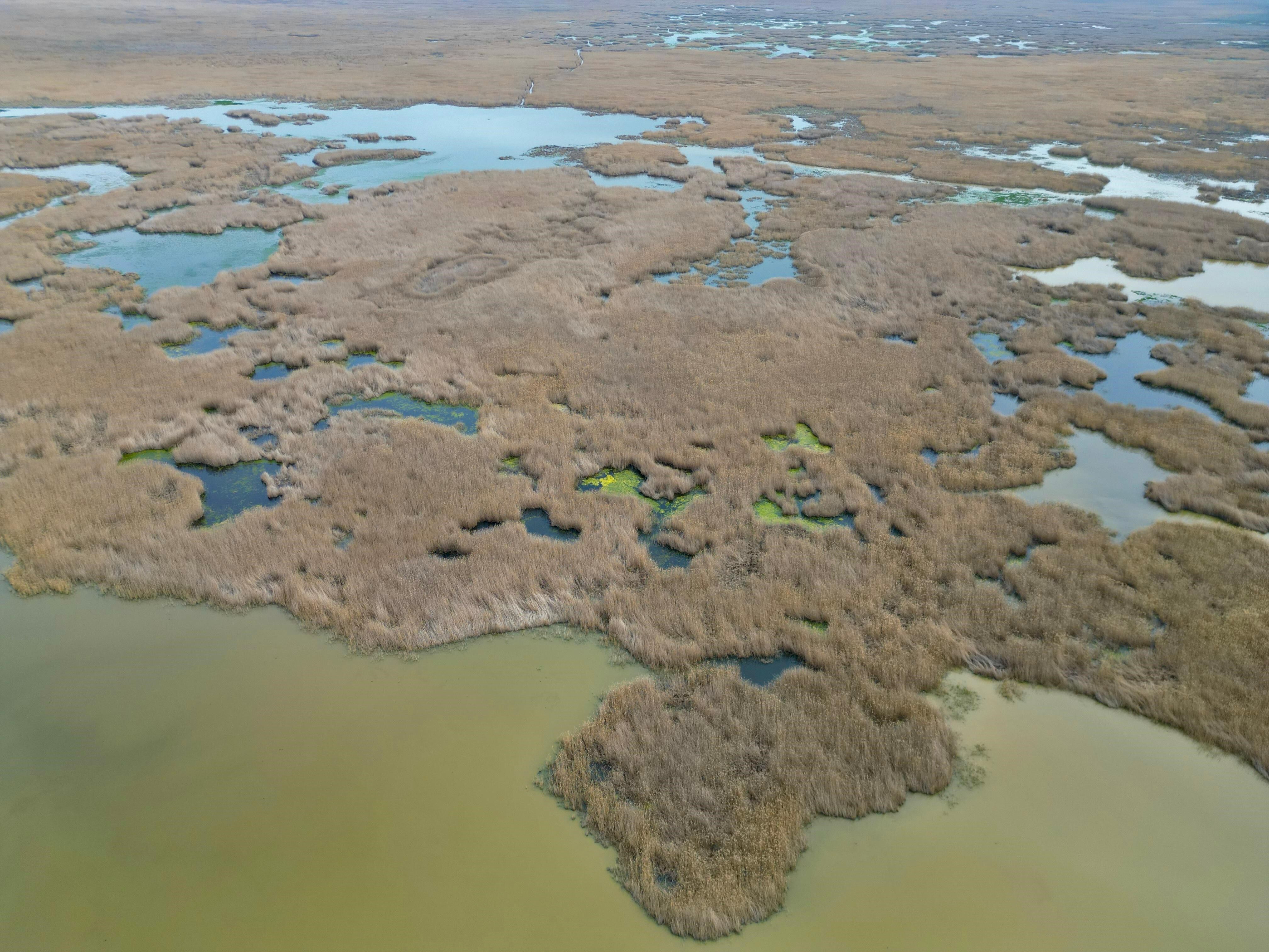 Eber Gölü'nden Iyi Haber Geldi (3)
