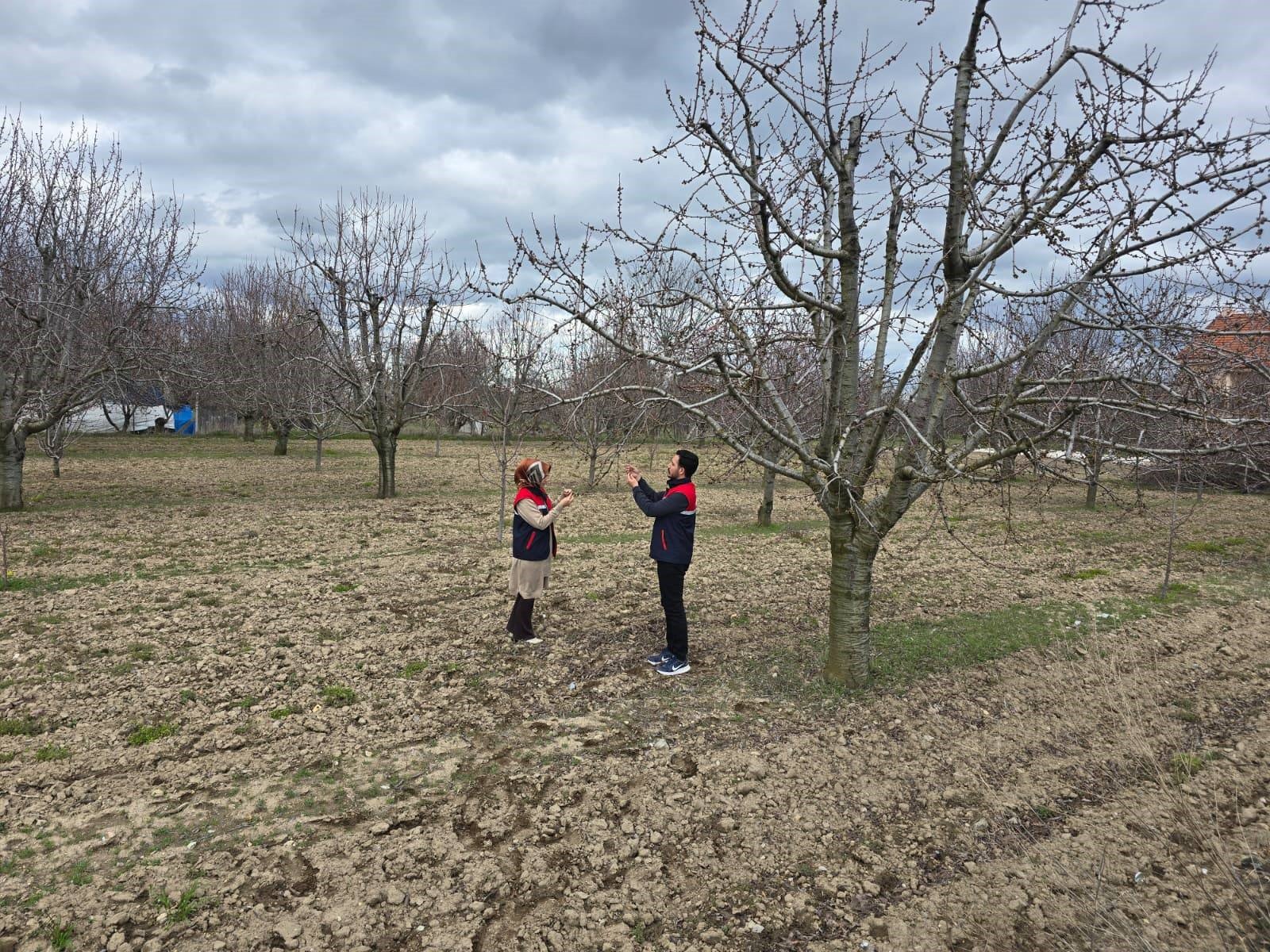 Ekipler Meyve Bahçelerinde Inceleme Yapıyor (4)
