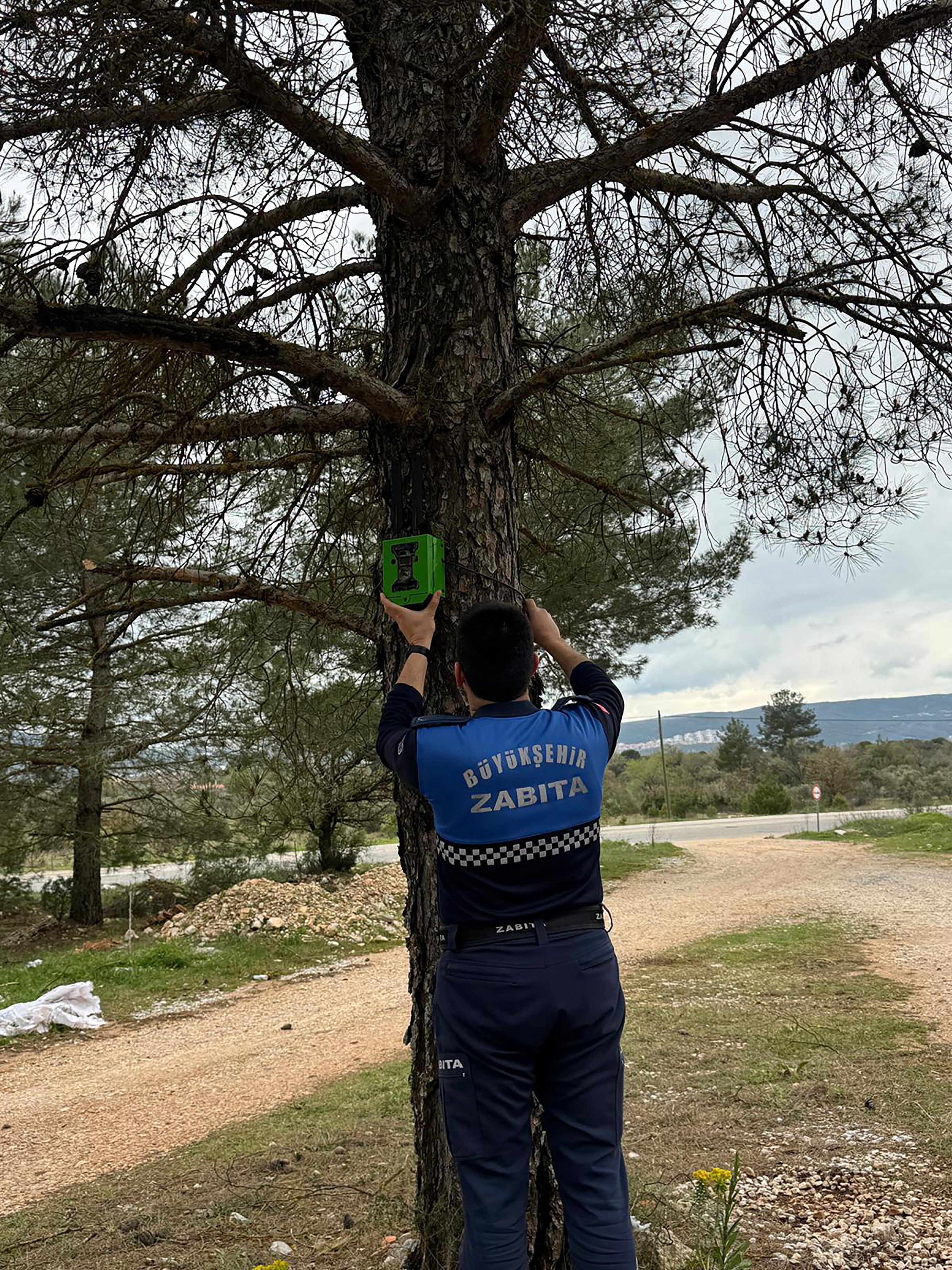 Fotokapana Yakalandılar (3)