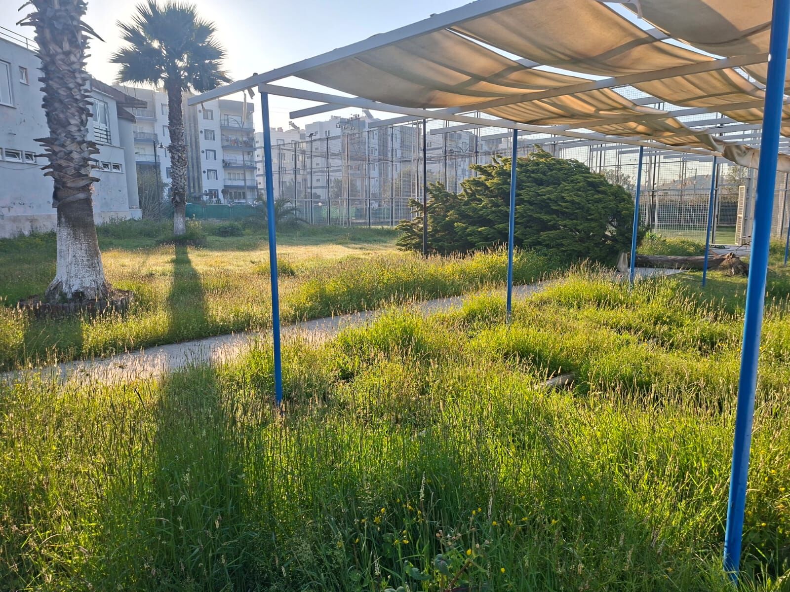 Germencik Belediyesi Harabeye Çevirdi, Büyükşehir Yeniden Halka Kazandıracak (1)