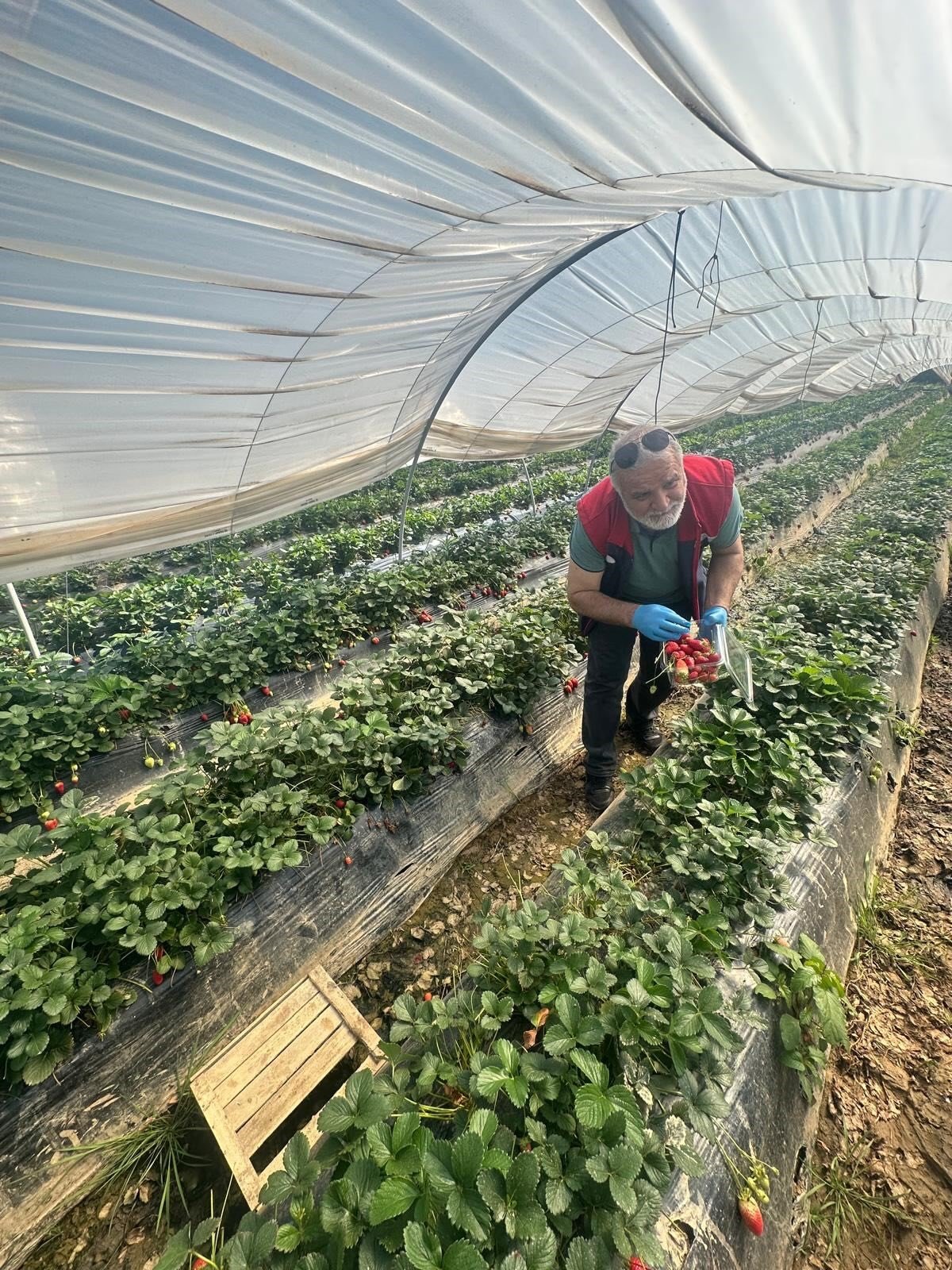 Köşk'ten Sultanhisar'a Çapraz Denetim (2)