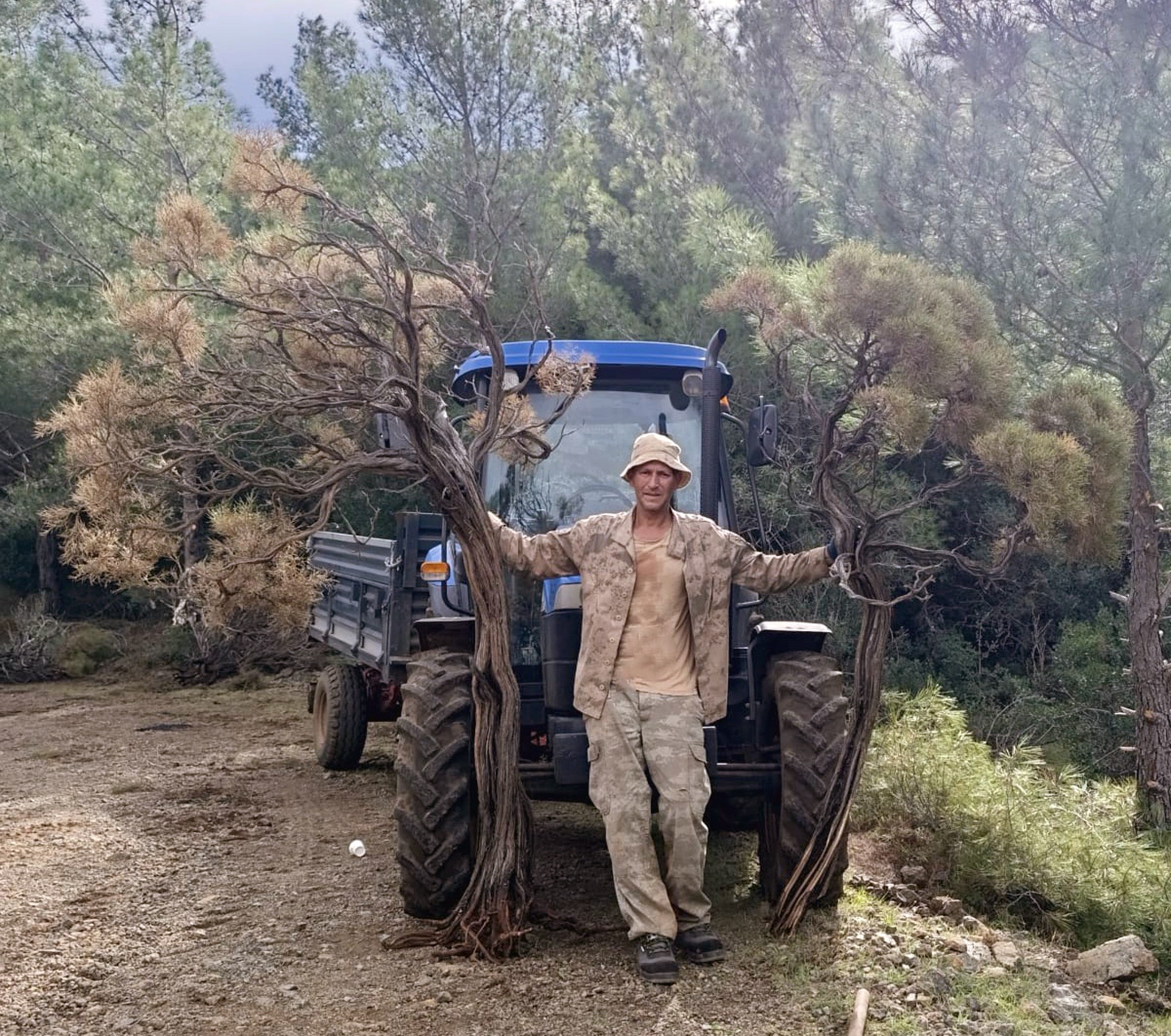 Kuru Geven Bitkisi Köylünün Gelir Kaynağı Oldu (3)