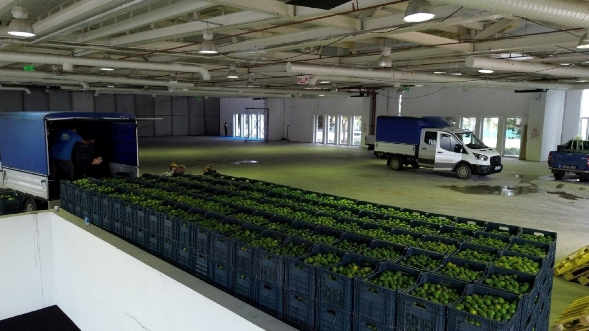 Mandalin Üreticisine 5 Milyon Kazanç (5)