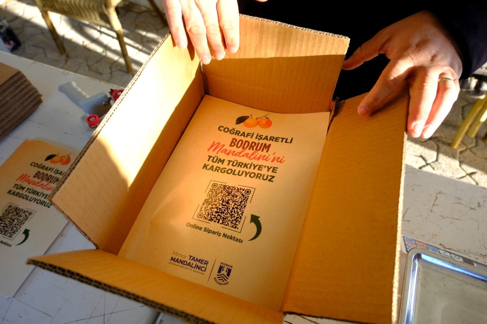 Mandalin Üreticisine 5 Milyon Kazanç (7)