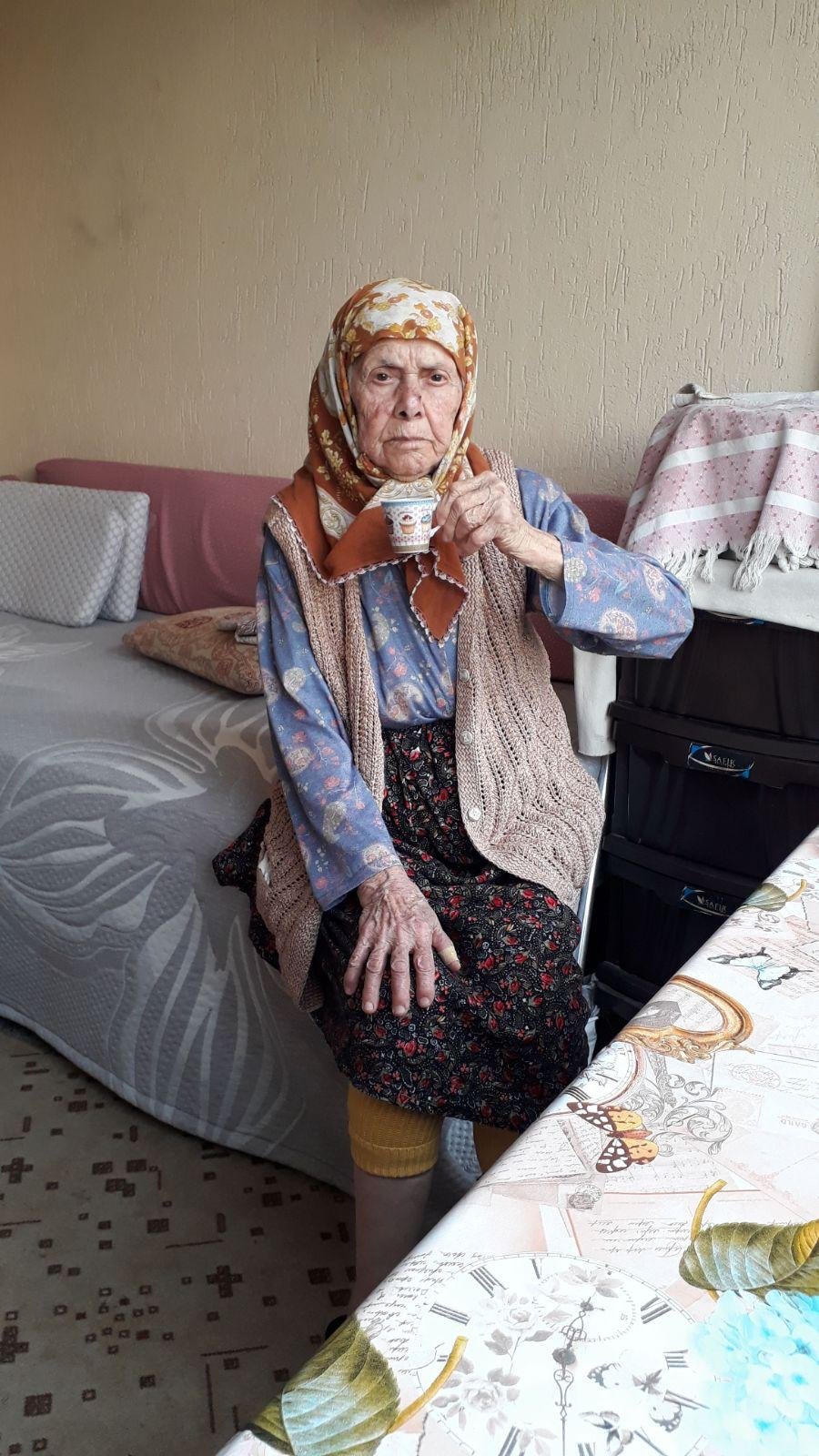 Nazilli’de Asırlık Çınar Hayata Veda Etti