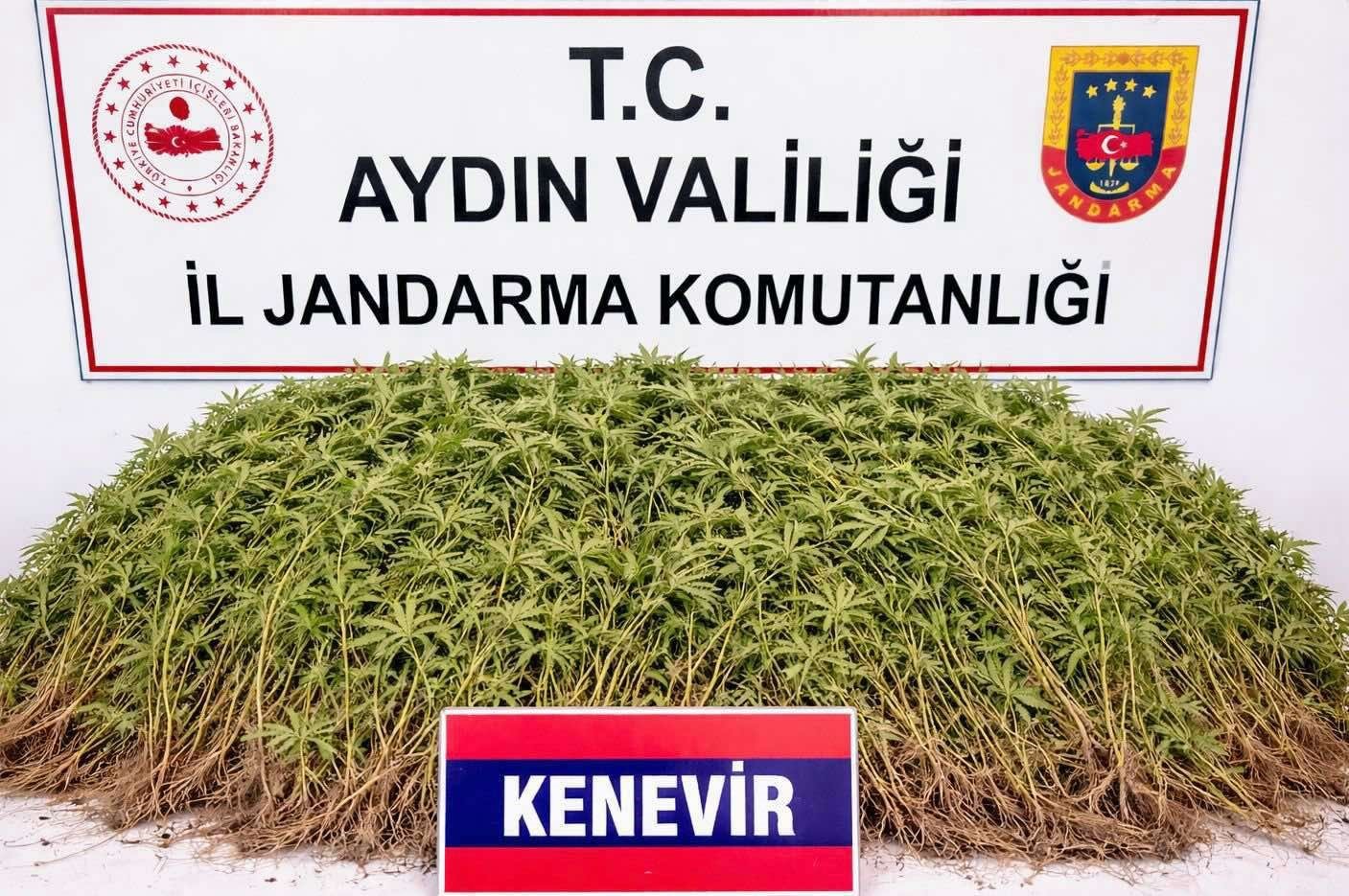 Nazilli’de Uyuşturucu Operasyonu (2)