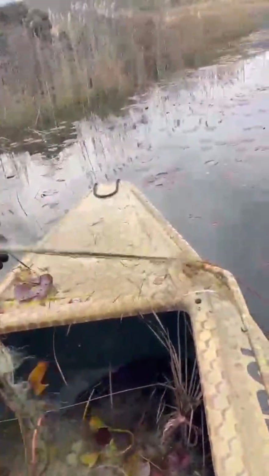 Nilüfer Cenneti’nde Kaçak Avcılığa Dur Denildi (1)