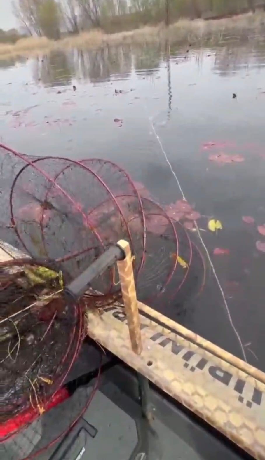 Nilüfer Cenneti’nde Kaçak Avcılığa Dur Denildi (2)