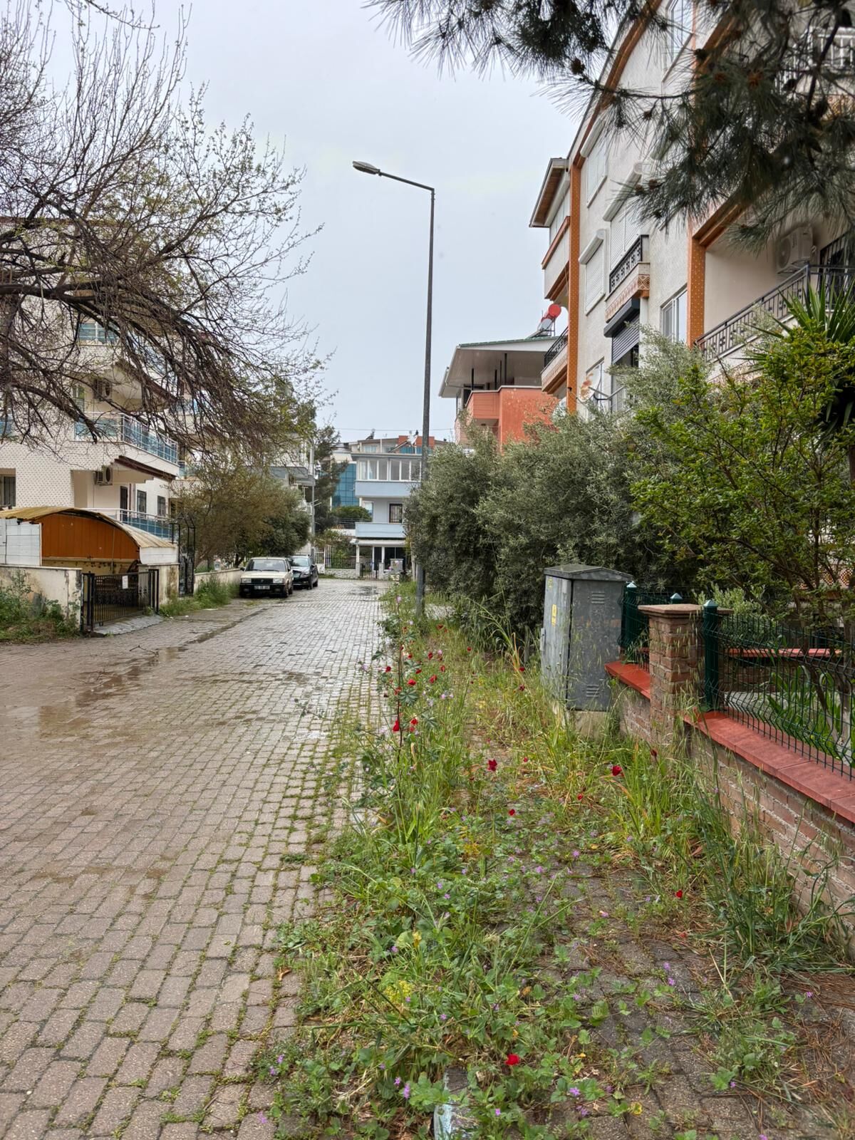 Ortadoğu Ülkesi Değil Didim! Chp’li Hatice Gençay Didim’i Kaderine Terk Etti (2)