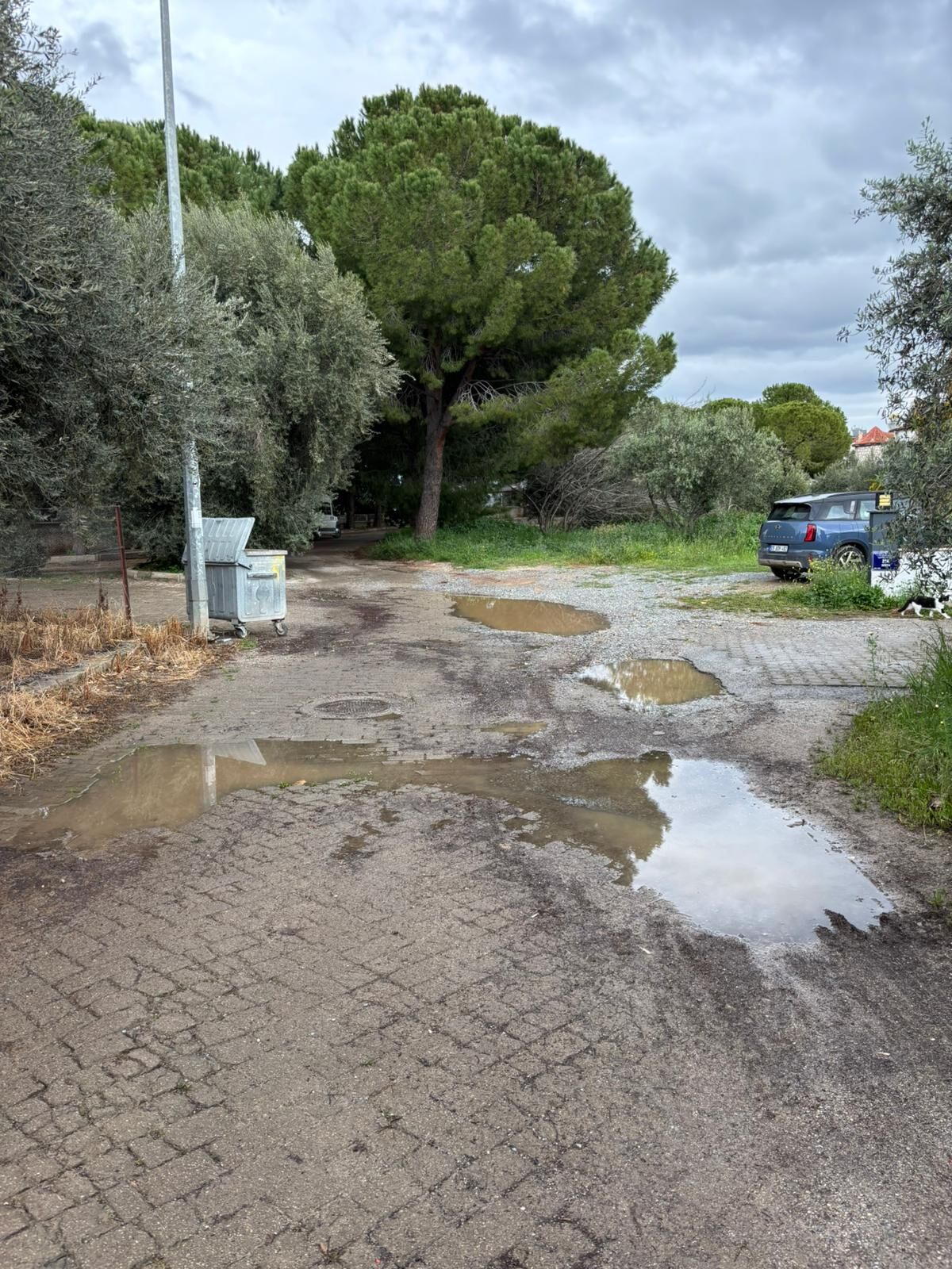 Ortadoğu Ülkesi Değil Didim! Chp’li Hatice Gençay Didim’i Kaderine Terk Etti (5)
