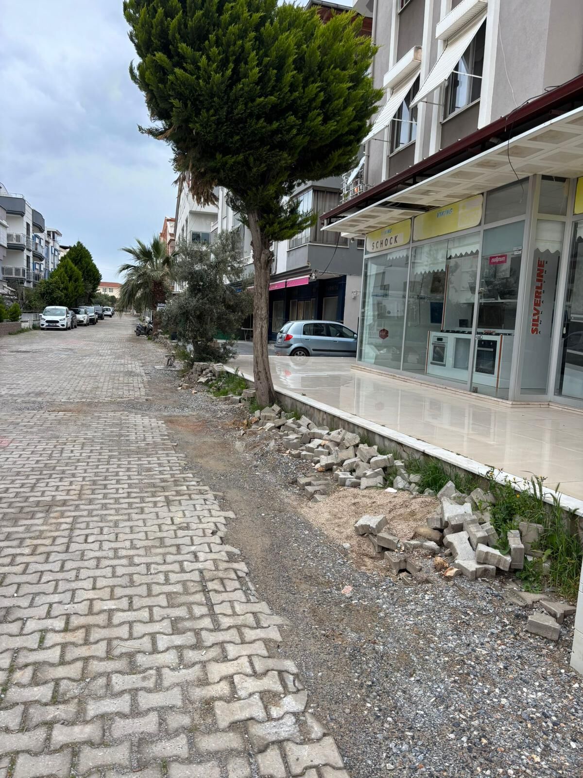 Ortadoğu Ülkesi Değil Didim! Chp’li Hatice Gençay Didim’i Kaderine Terk Etti (8)