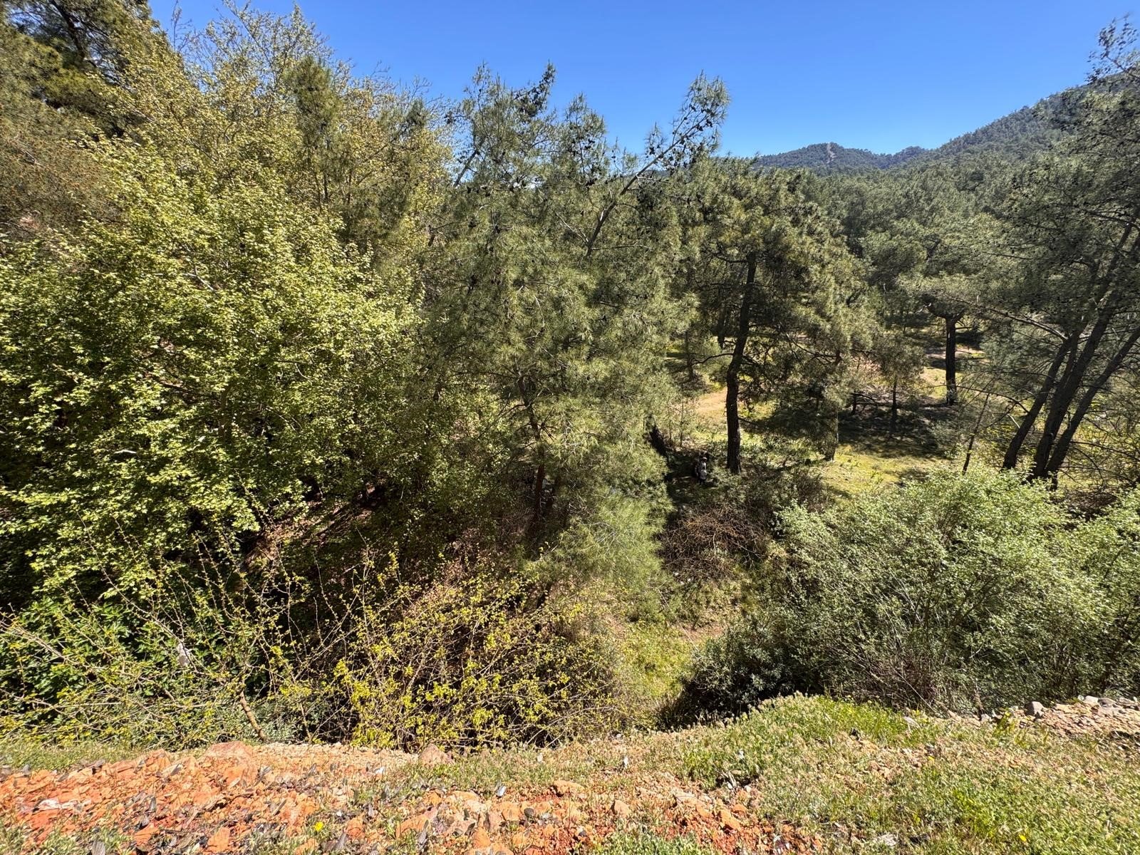 Piknikte Acı Olay, 28 Yaşındaydı (3)