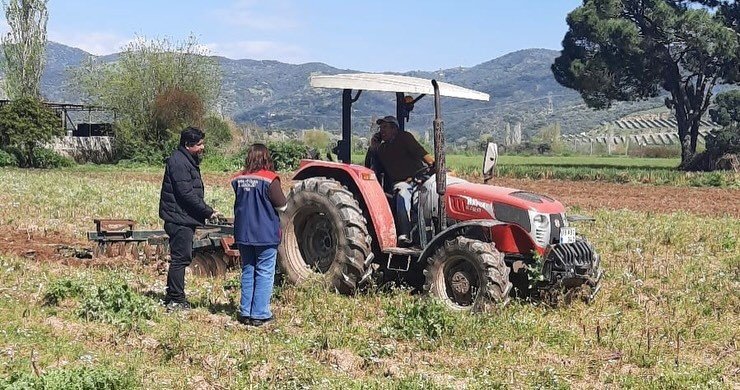 Söke'de Hububat Ekili Araziler Denetlendi (2)