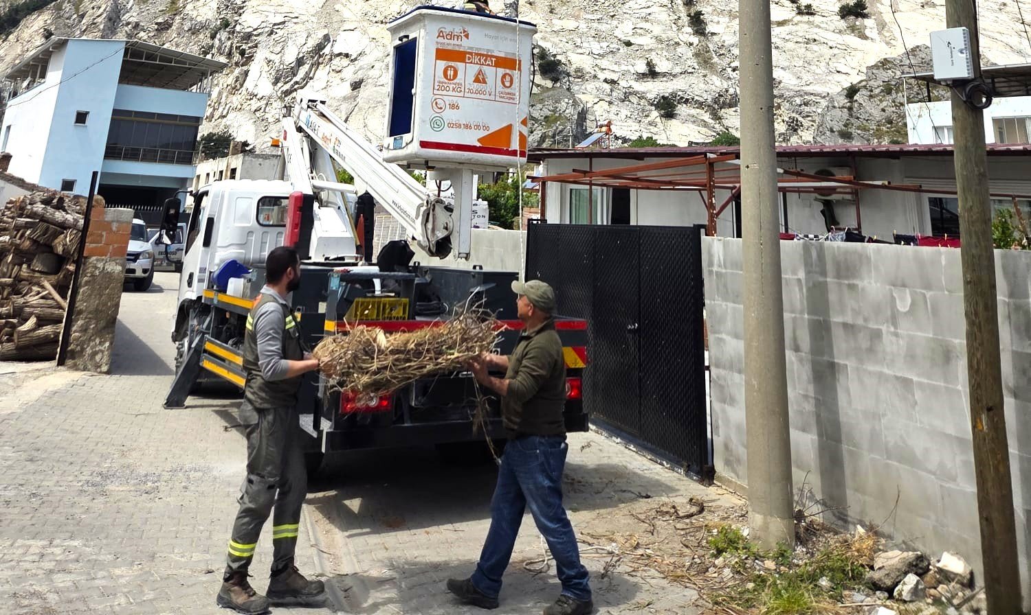 Söke’de Leyleklere Yeni Yuva (1)