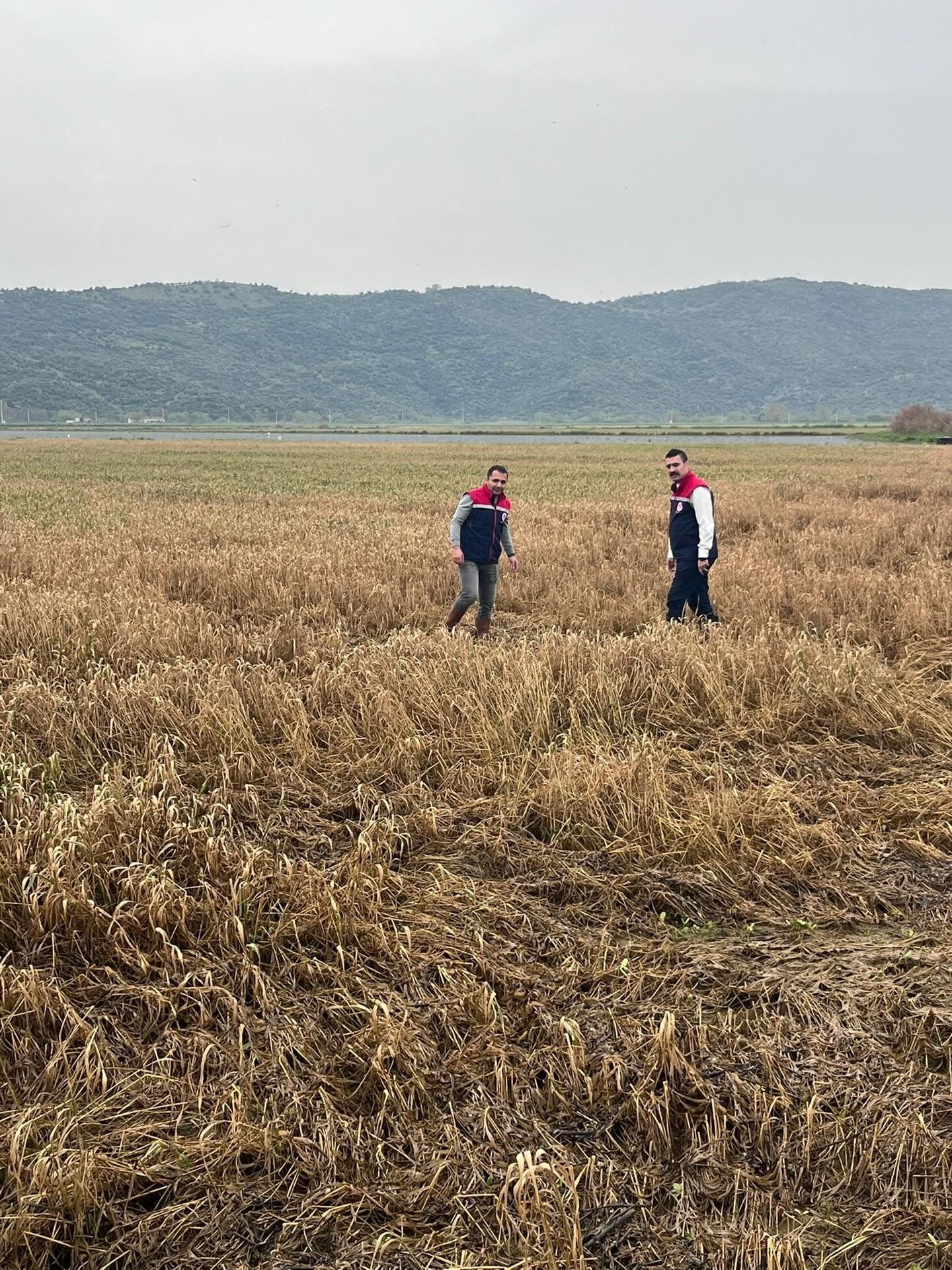 Söke’de Zarar Büyük (1)