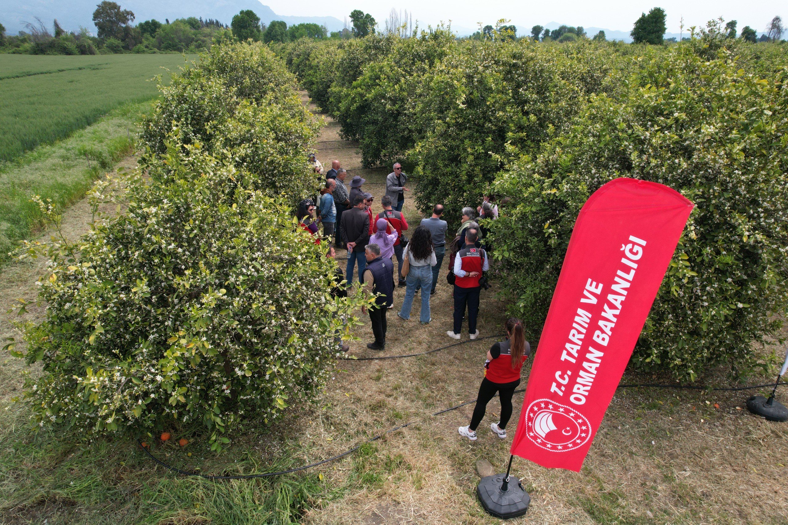 Tarımda Yeni Dönem Başlıyor (3)