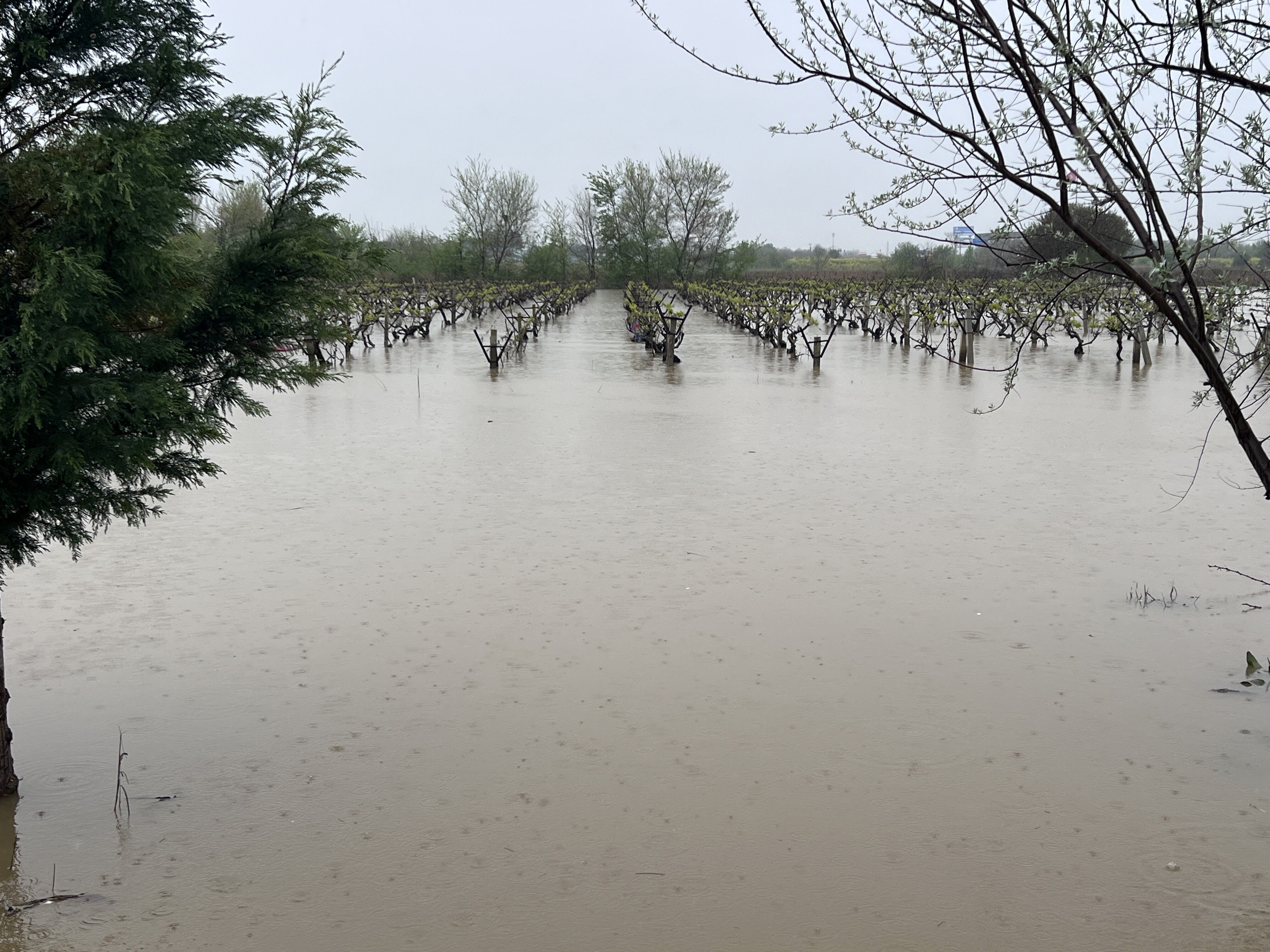 Taşkın Yerleşim Alanlarına Ulaştı (2)