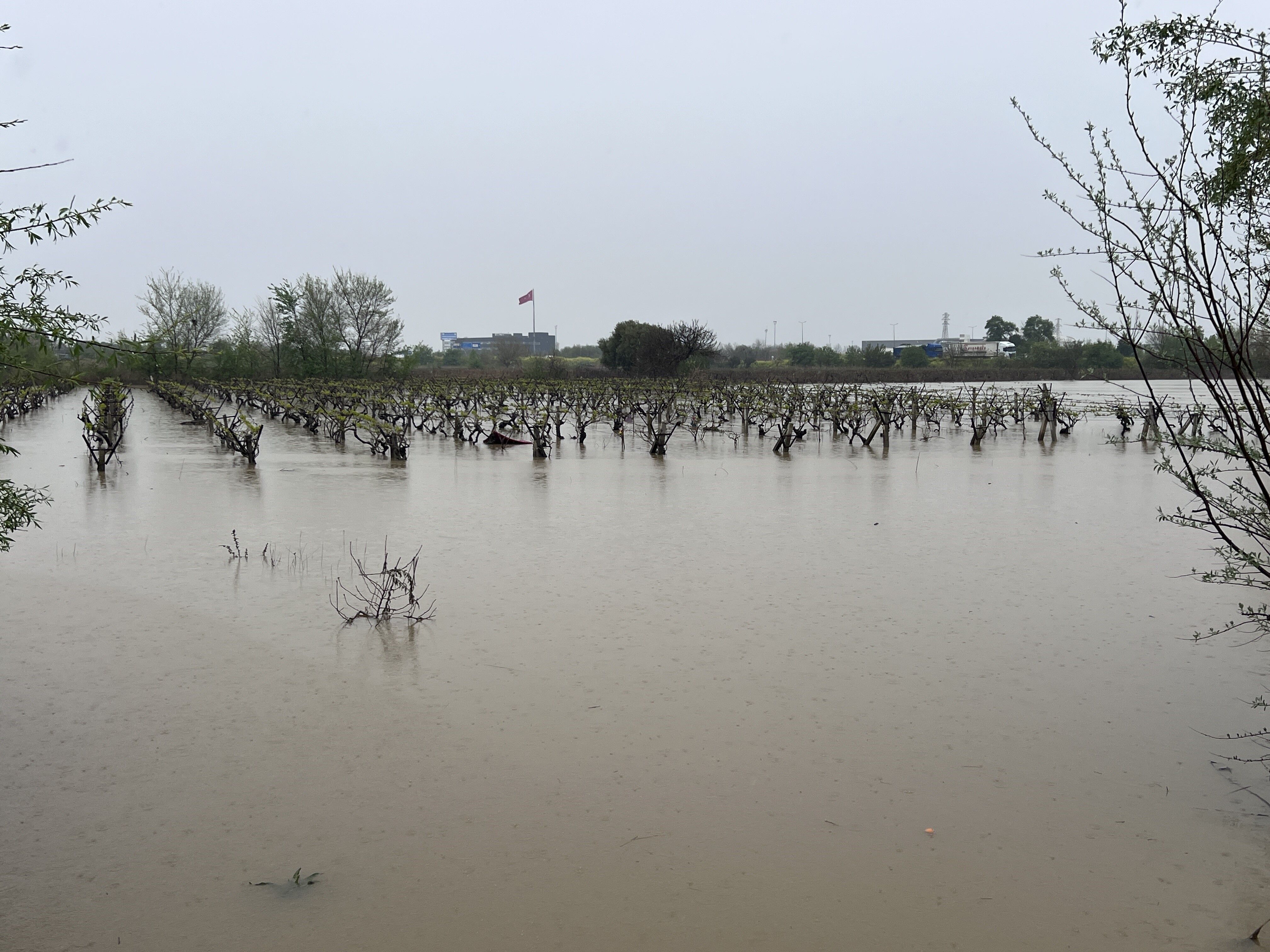 Taşkın Yerleşim Alanlarına Ulaştı (4)