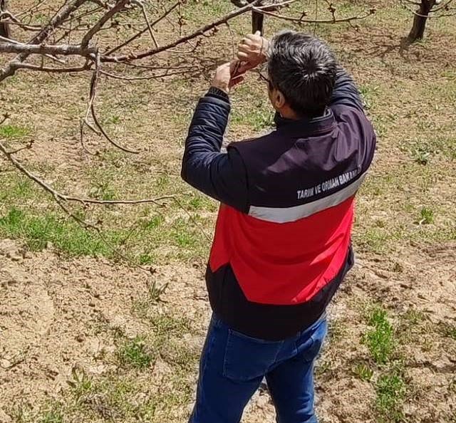 Zirai Don Alarmı Sonrası Sonuçlar Belli Oldu (3)