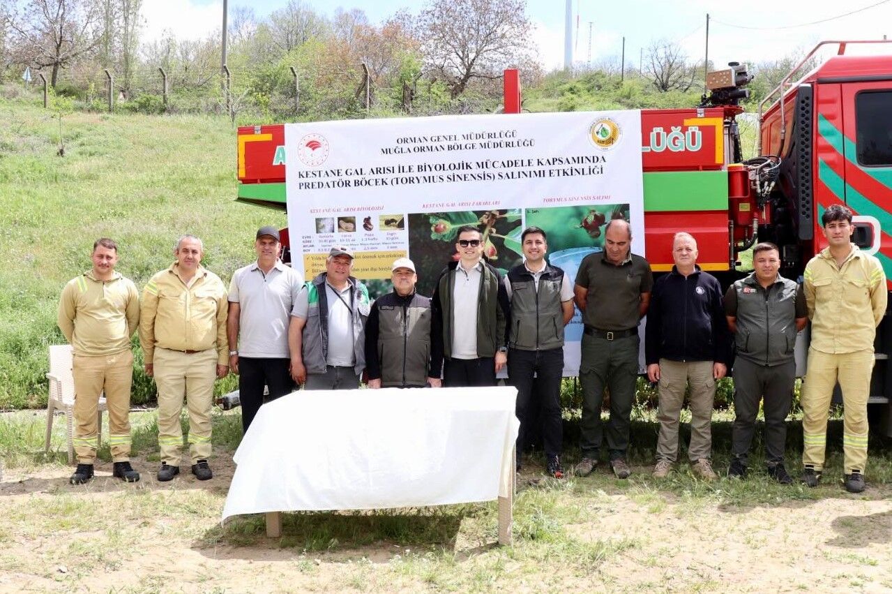 Aydın’da 2700 Parazitoit Böcek Salındı (4)