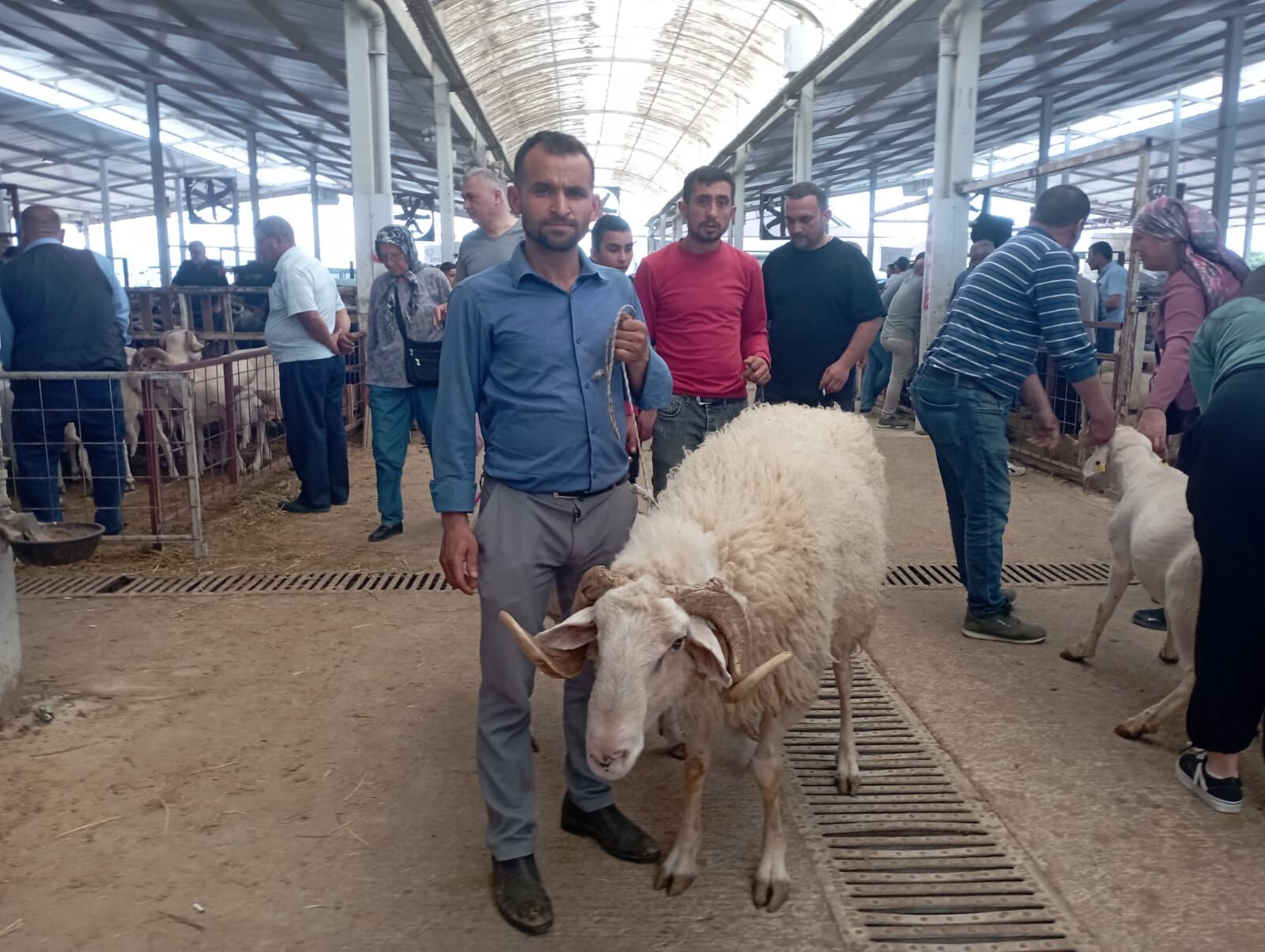 Aydın’da Kurban Pazarlarında Satış Yok (1)