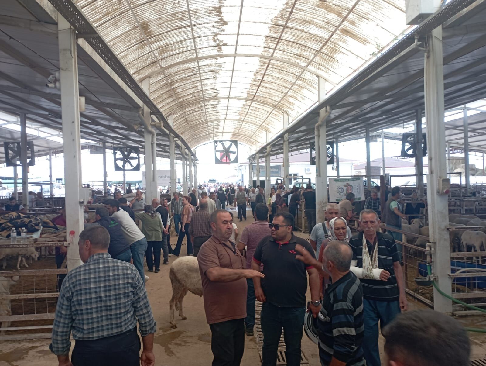 Aydın’da kurban pazarlarında satış yok