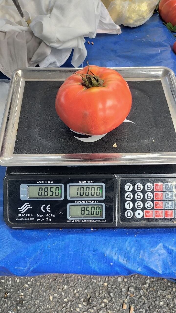 Aydın’daki Pazarda Görüntülendi.. Tek Domates 1 Kilo! (4)