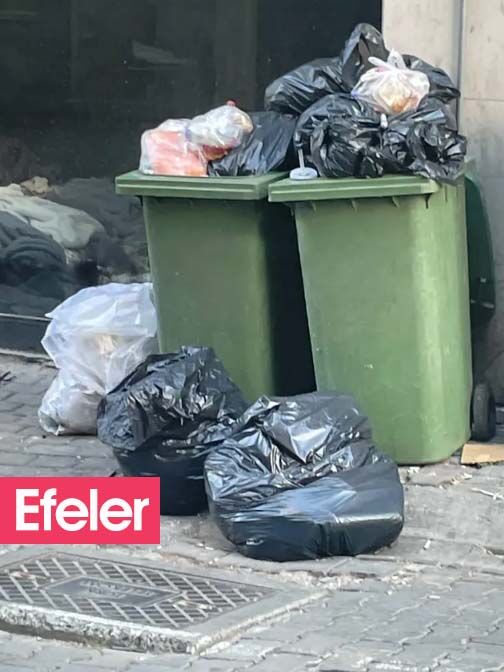 Efeler-1