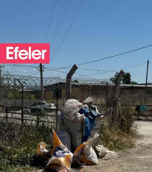 Efeler 2
