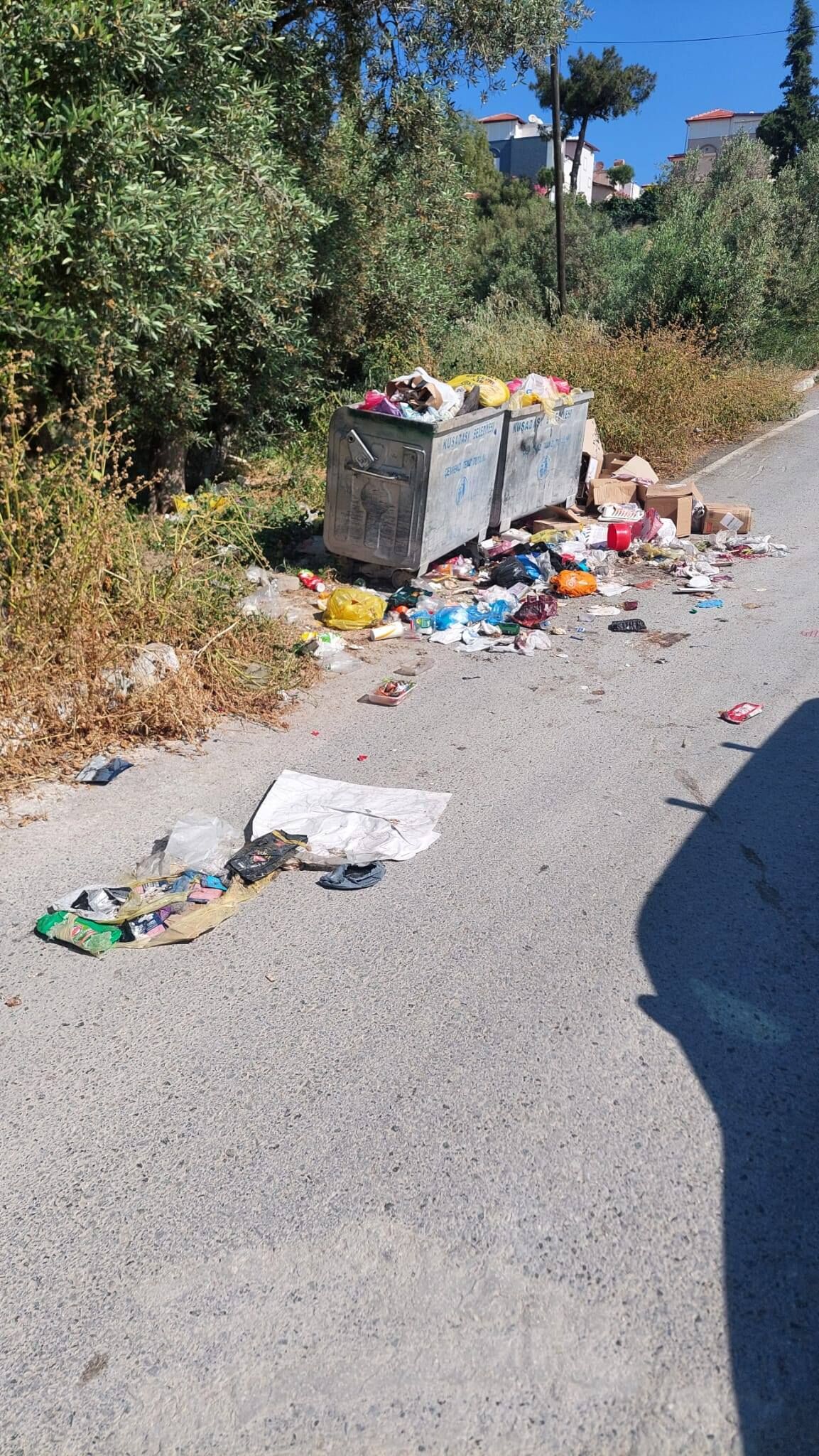 Kuşadası’nda Toplanmayan Çöpler Vatandaşı Isyan Ettirdi (3)