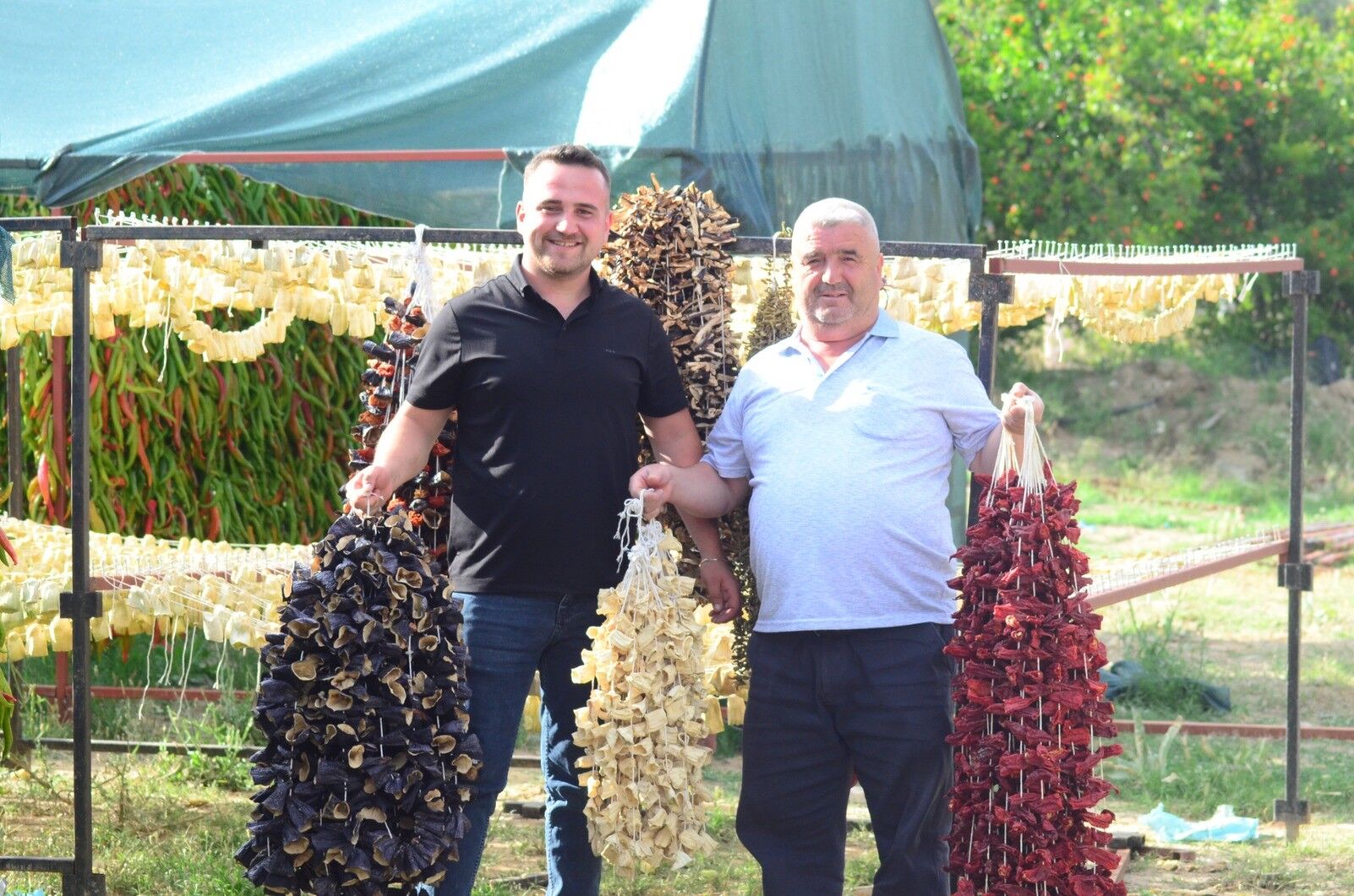 Nazilli'de Kurutmalık Sebze Oymacılığı Bacasız Fabrikaya Dönüştü (3)