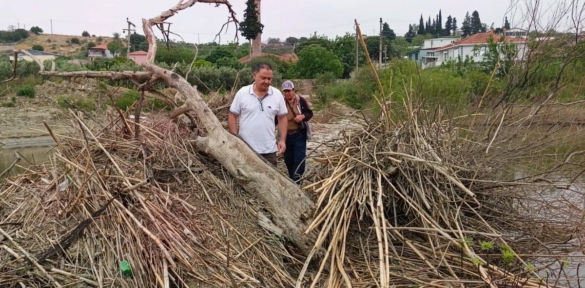 Söke’deki Tarihi Taş Köprüde Yıkılma Tehlikesi (1)