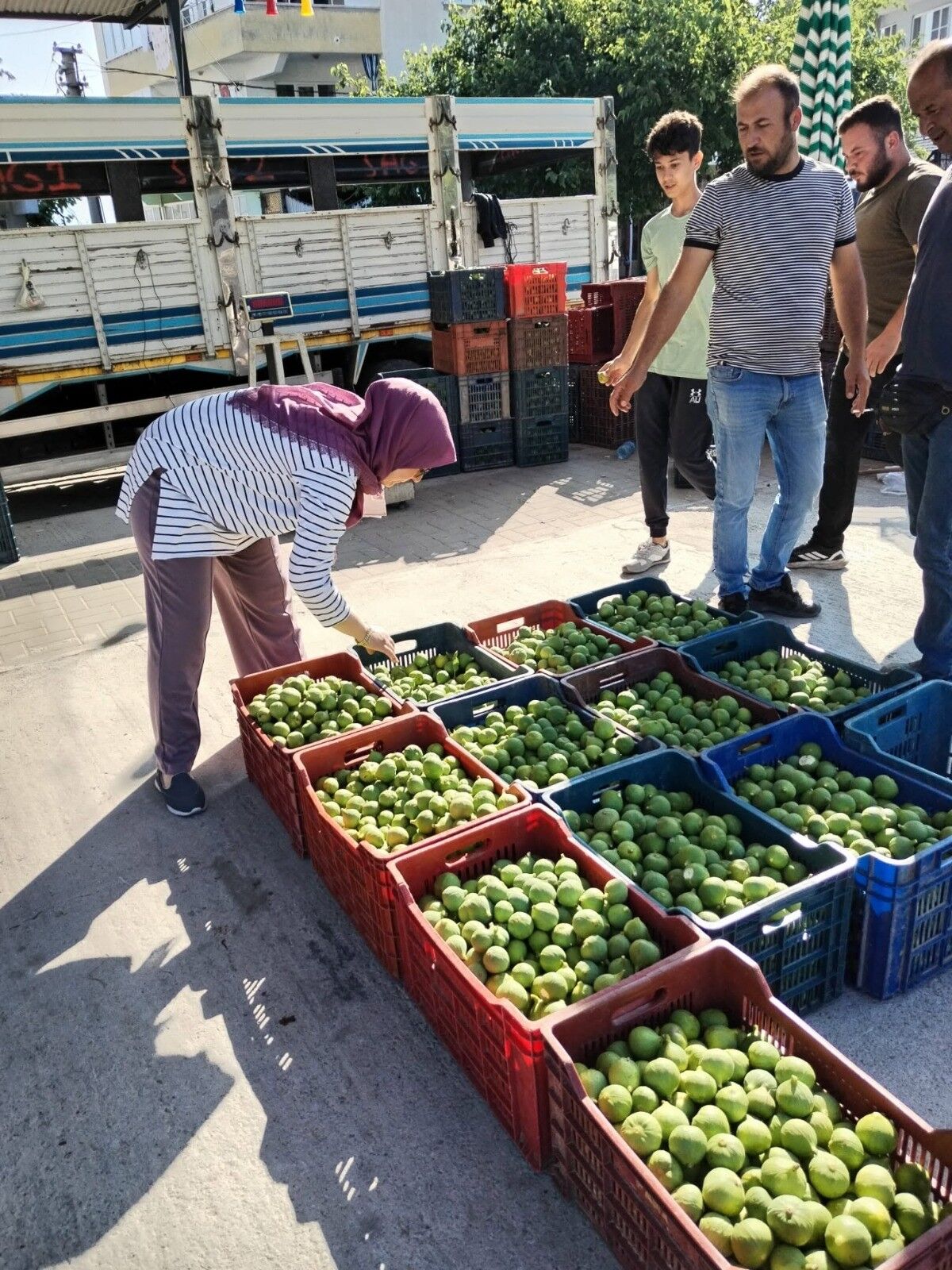 Aydın’da Ekipler Ilek Pazarında (1)-1