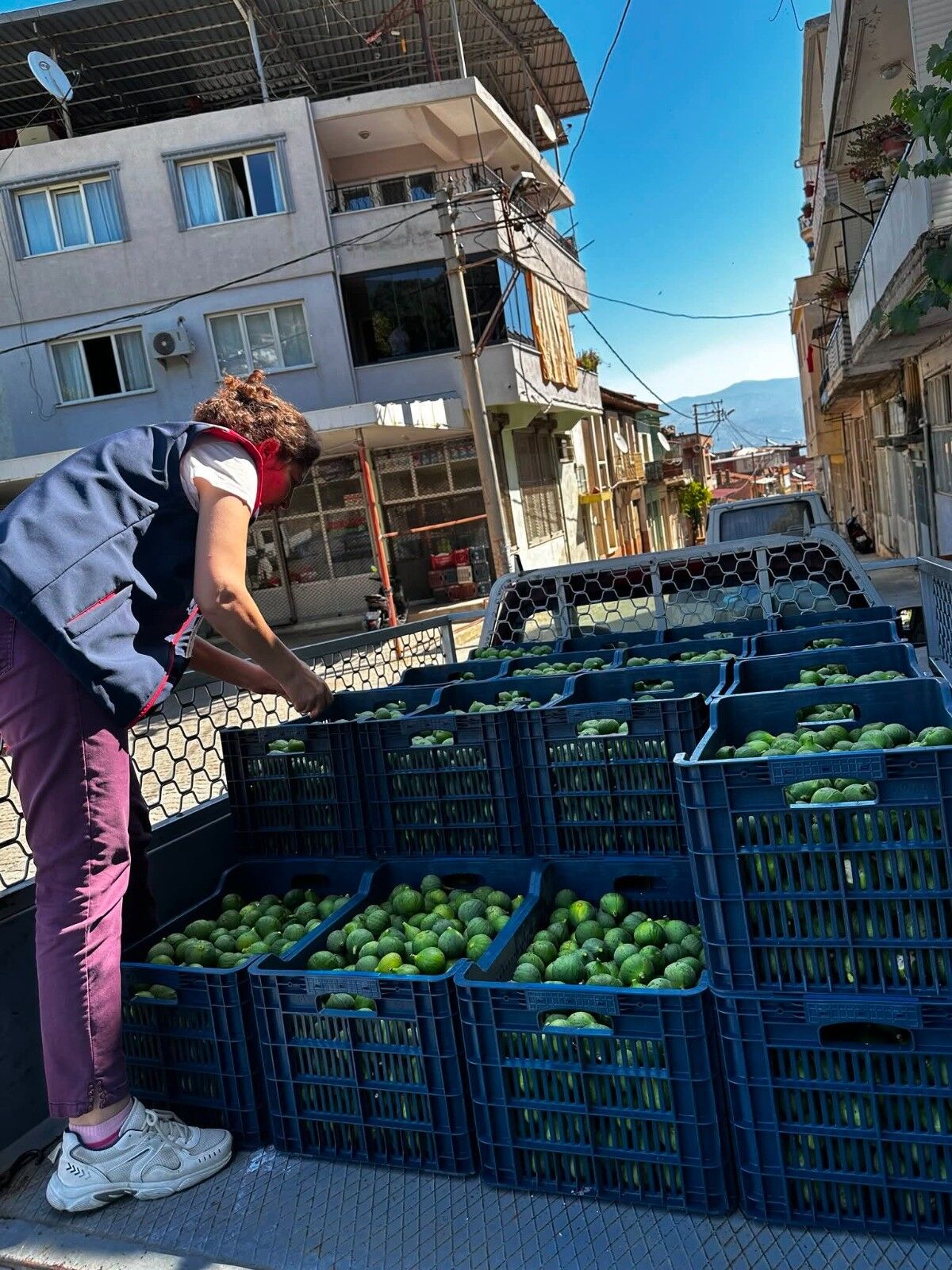 Aydın’da ekipler ilek pazarında