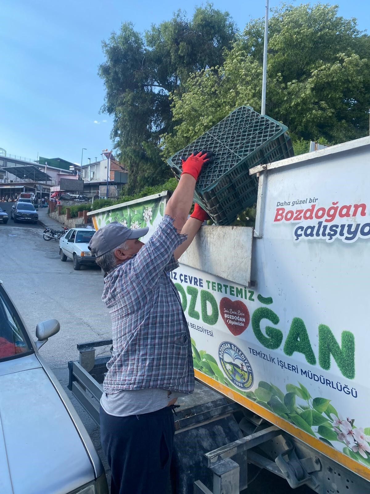 Aydın’da Ilekler Hastalıklı Çıktı, Ekipler Imha Etti (3)