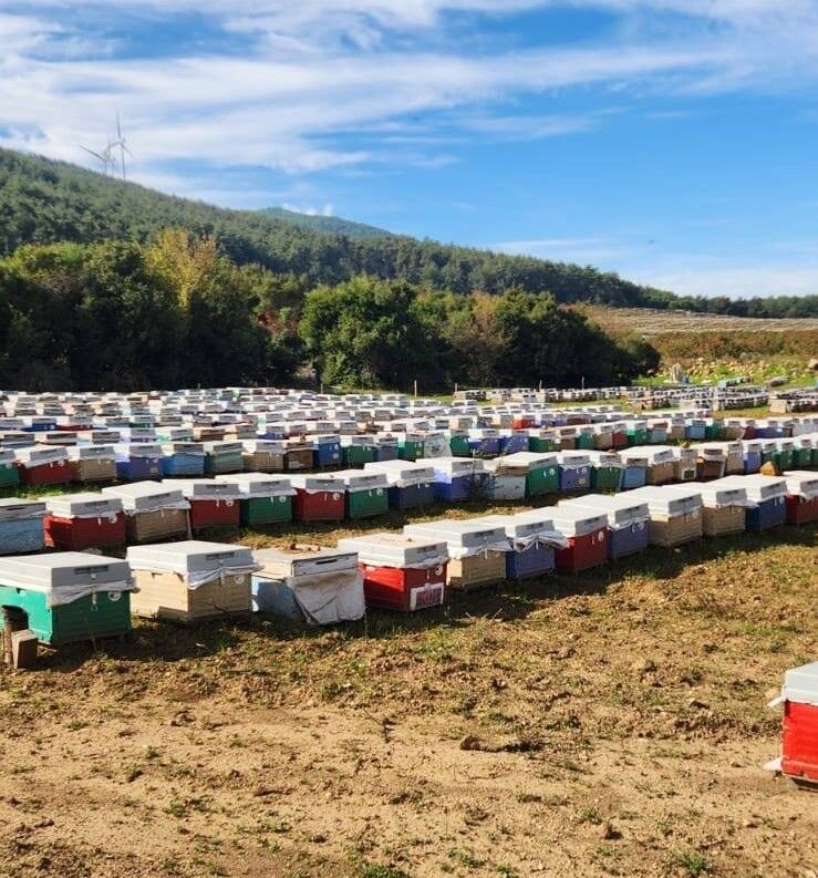 Aydın’ın Bal Karnesi.. Türkiye’de Kaçıncı Sıradayız (1)