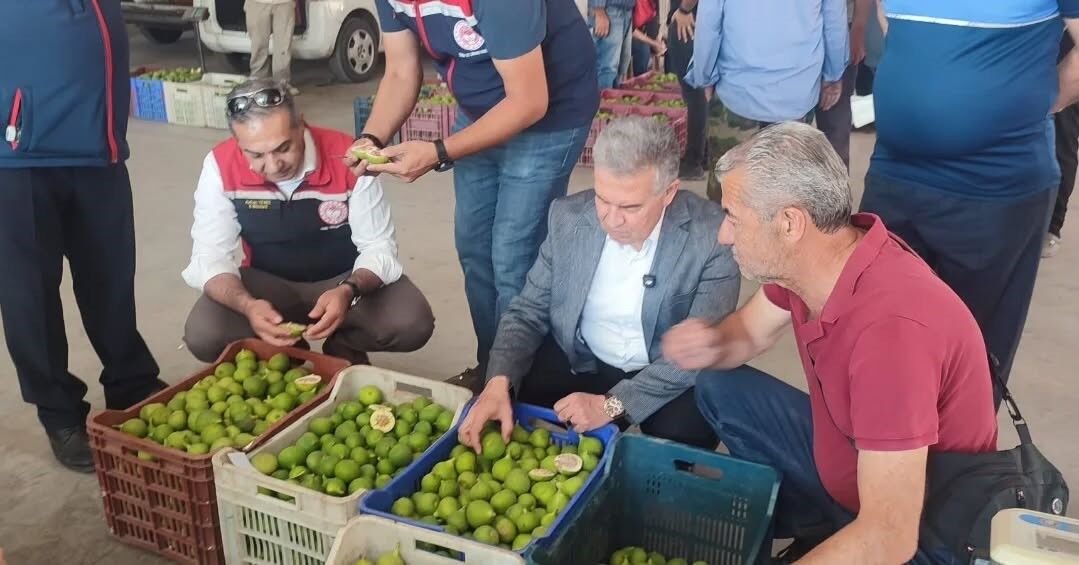 Buharkent’te Ilekler Tezgahta Incelendi (2)